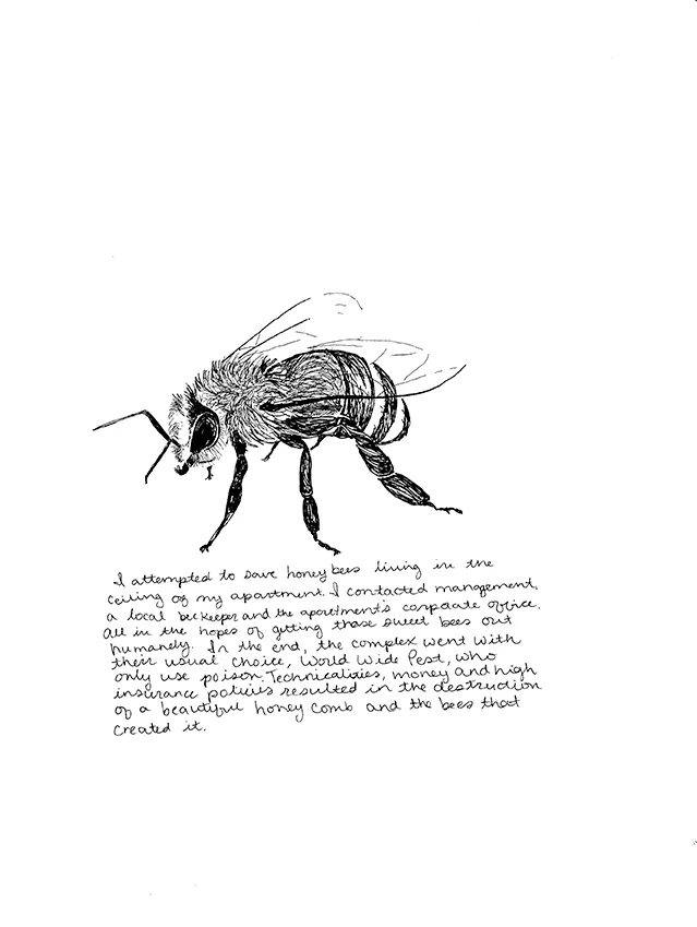 littlethoughts010.jpg