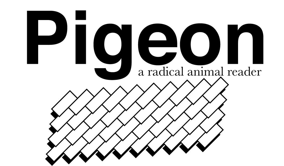 pigeon_web_banner2017.png