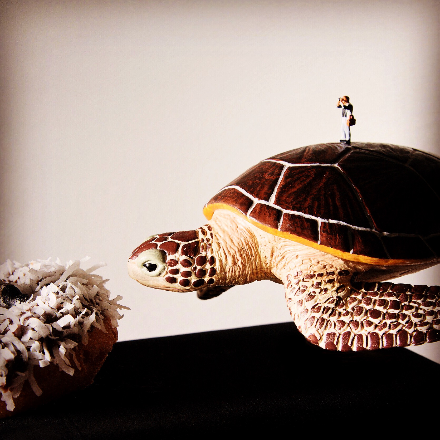 This is smooth sailing because Sea Turtles are good swimmers and you hardly ever fall off.