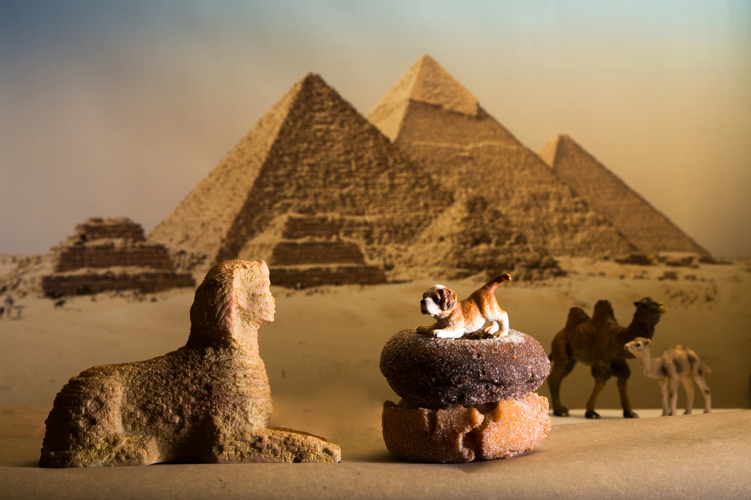Sphinx and Saint Bernard Pup