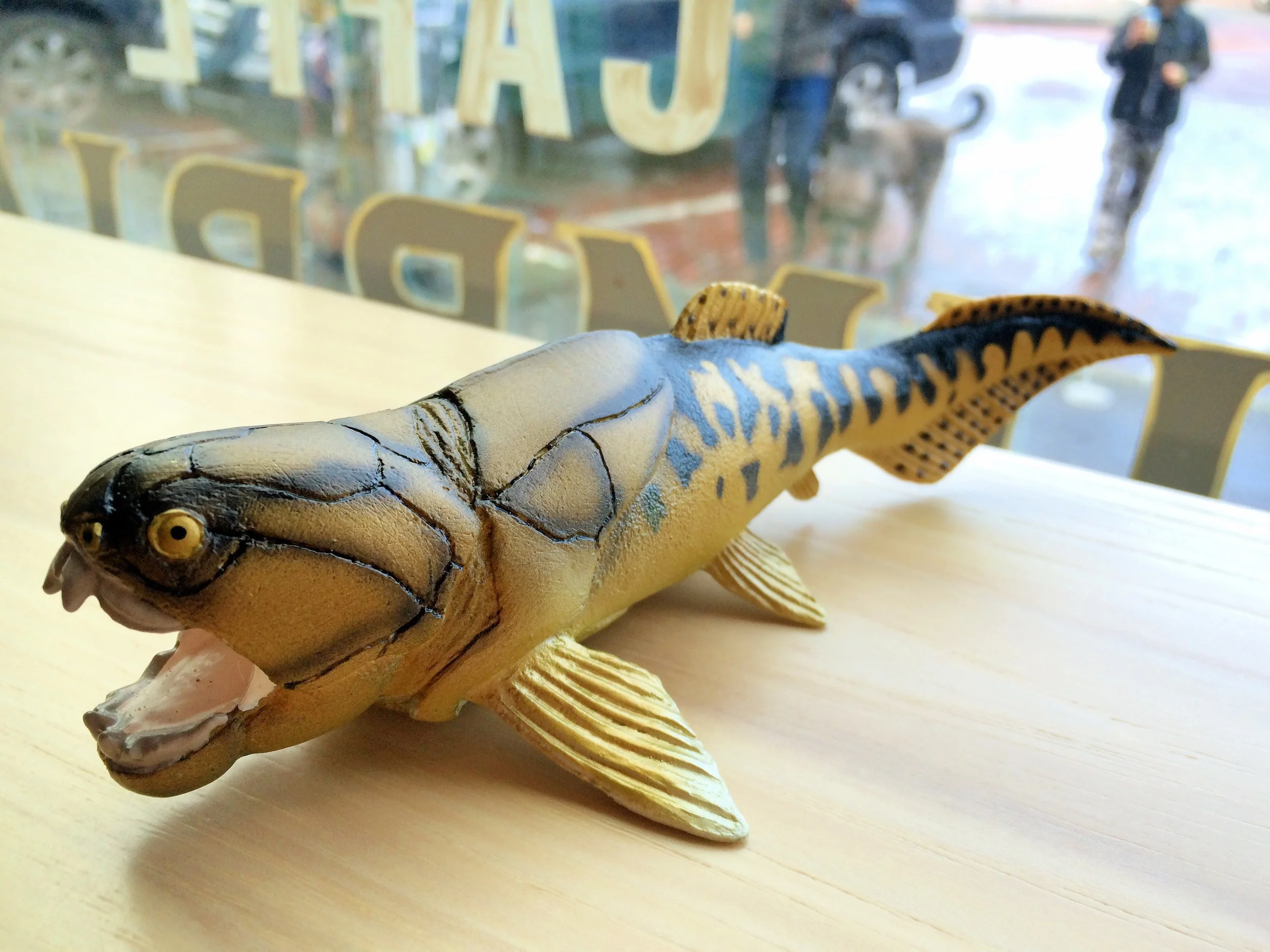 Dunkleosteus that's hanging out with me at Caffé Umbria in Seattle's Ballard neighborhood.