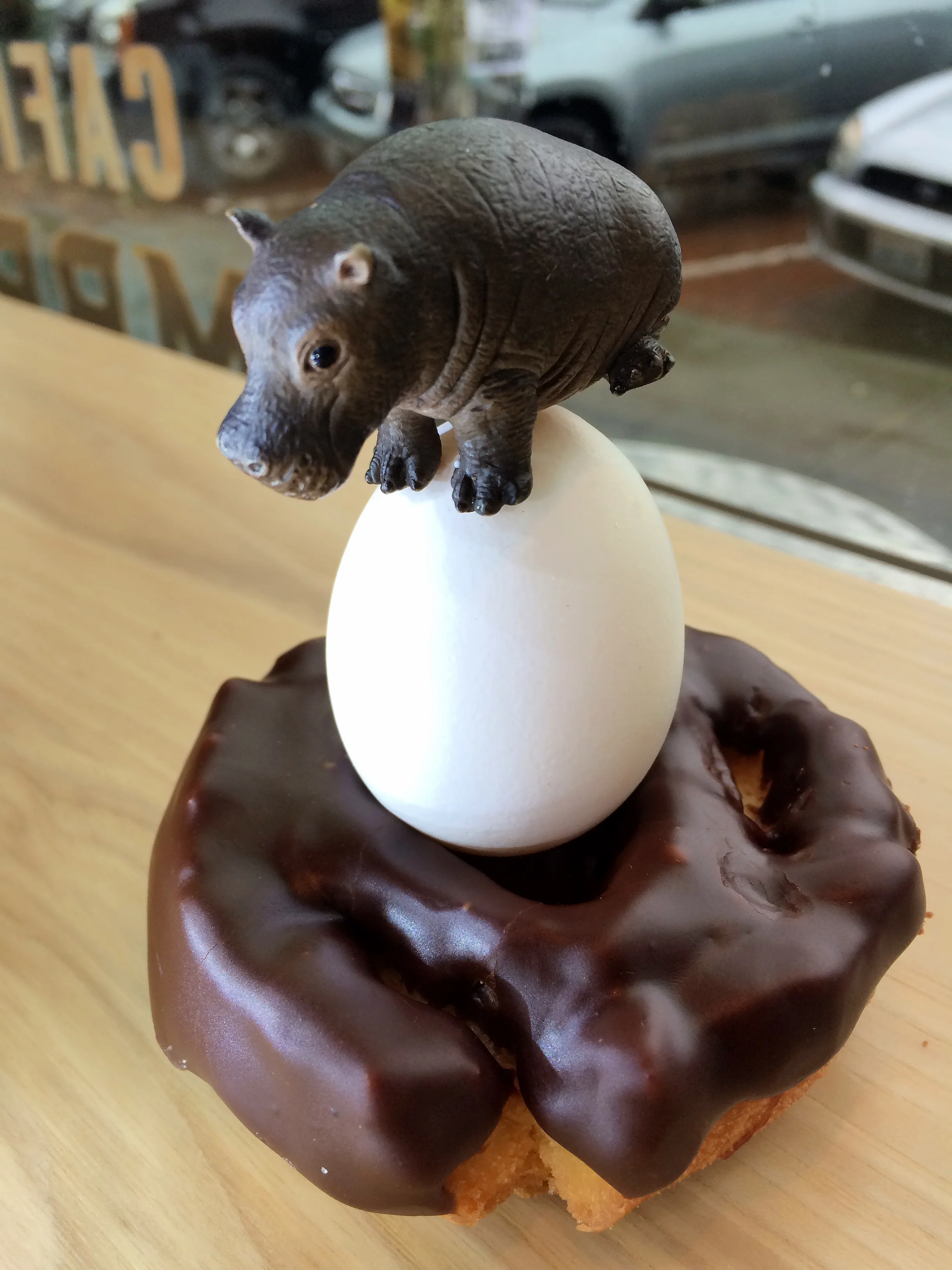 Baby Hippo on top of an egg and a donut in Seattle's Caffe Umbria. The original plan was photos where the donut was kind of like a nest, and little chickens (or one chicken) were on top. I don't think the "nest" idea is clear here...maybe I need some sticks or twigs, leaves and branches. What do you think? Let me know in the comments!