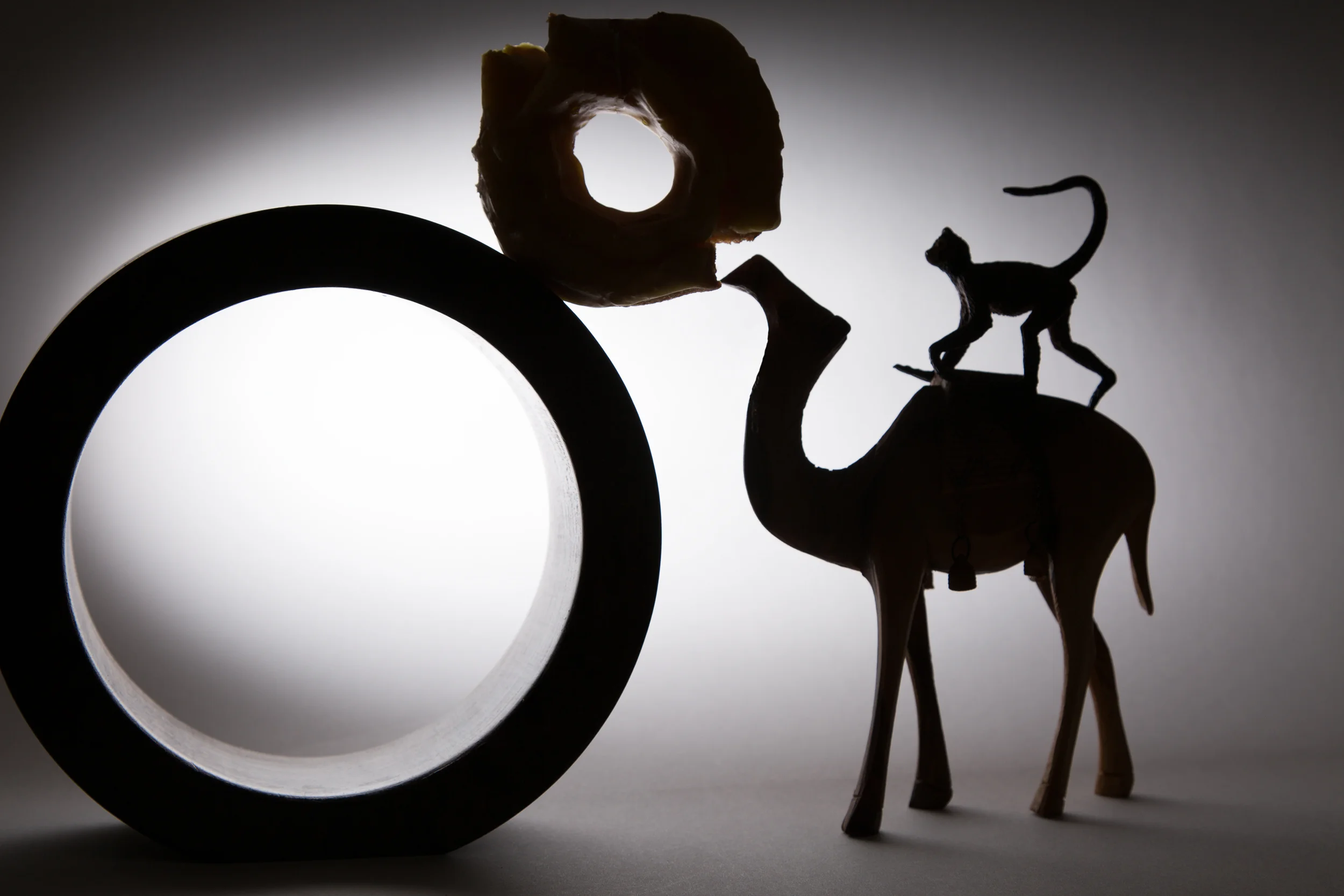 Camel Monkey Circle Donut