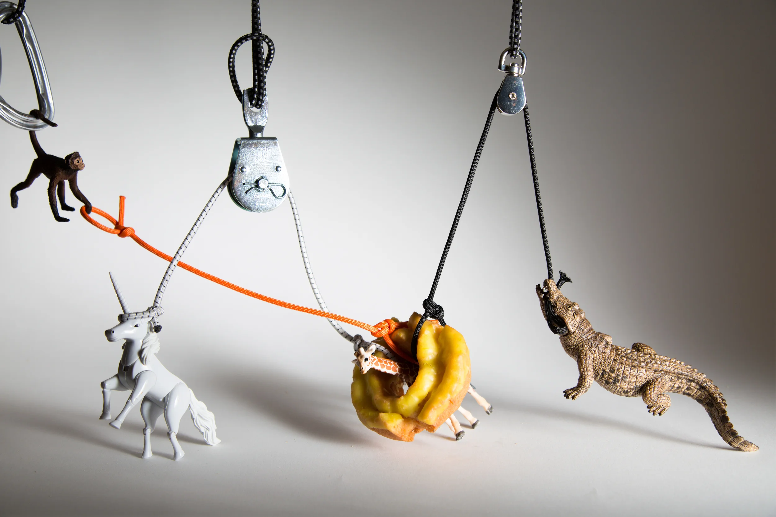 Host of Animals Saving Giraffe Calf