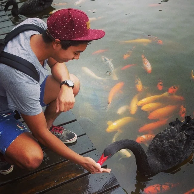 Throwback Thursday to China, the only place where you can feed a swan before lunch and eat one for dinner #China #blackswan #ICI