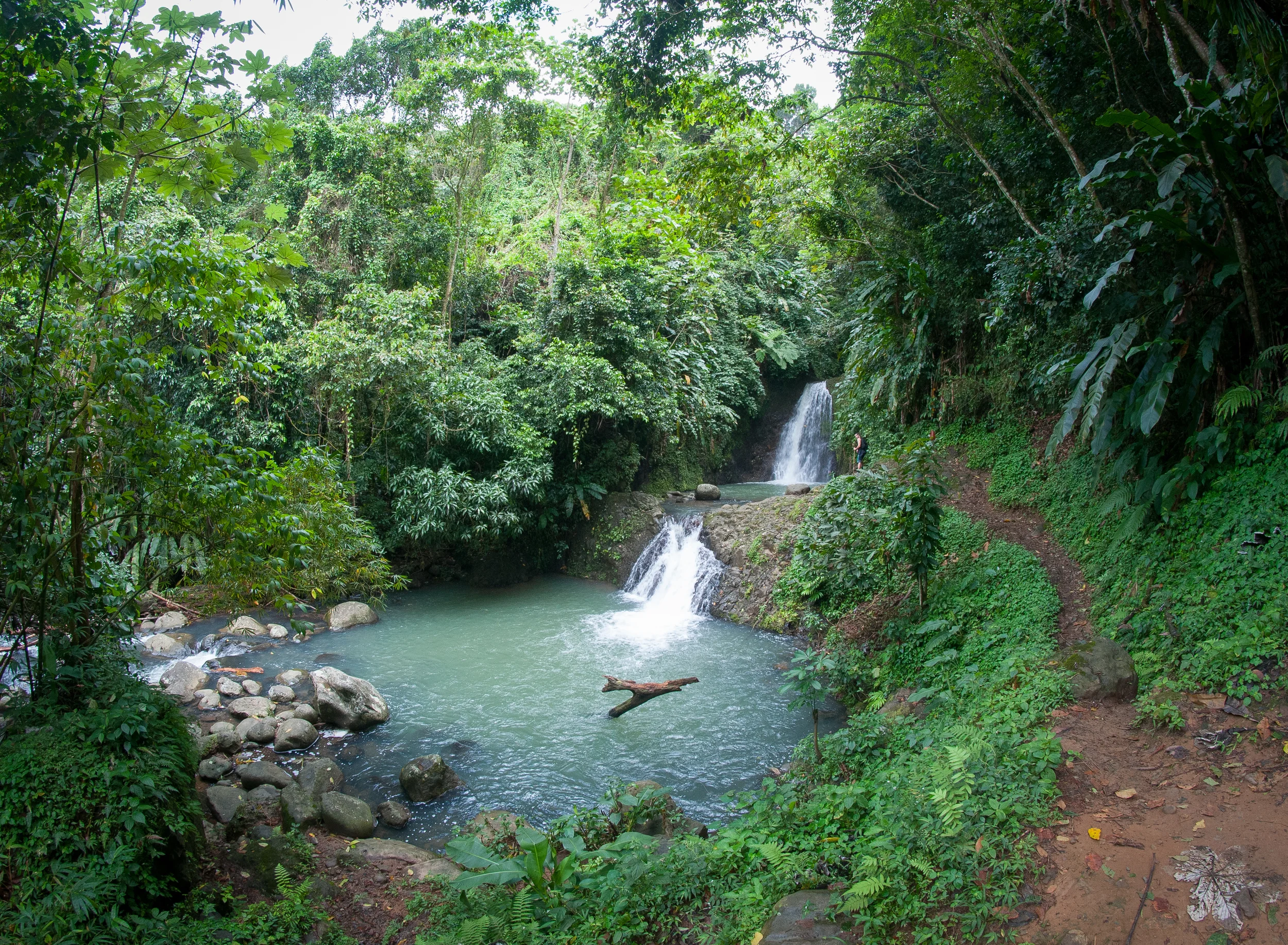 Amazing right? yea... I swam in that. 