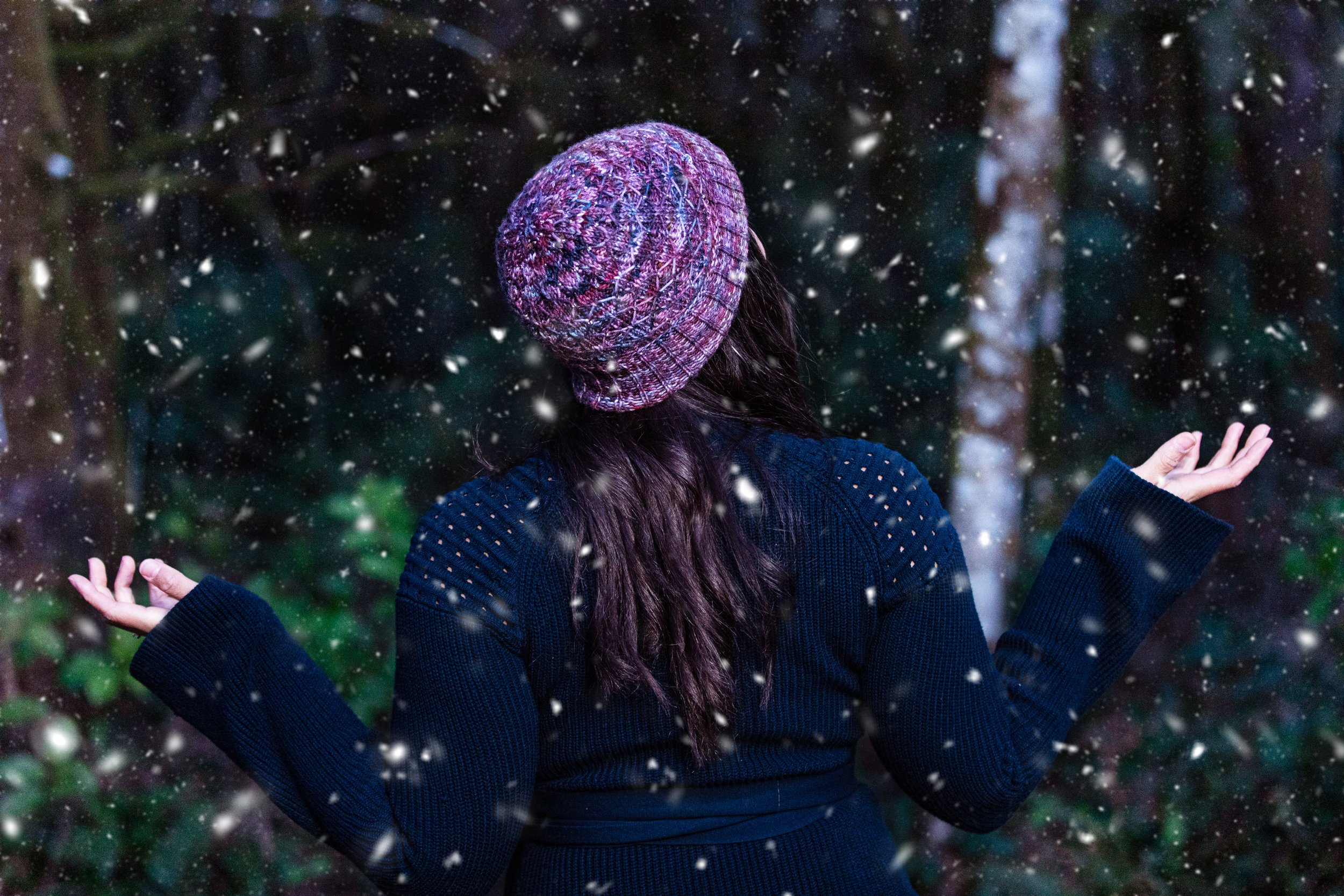 8S7A0780(FinalSnow2).jpg