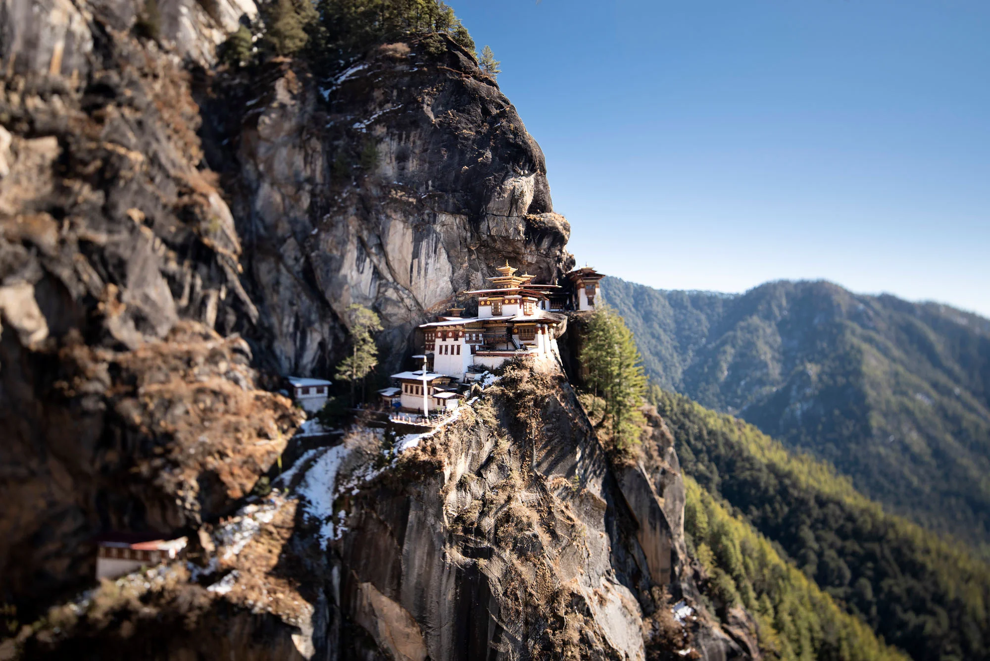 Ants_Bhutan_01_Tigers_Nest.jpg