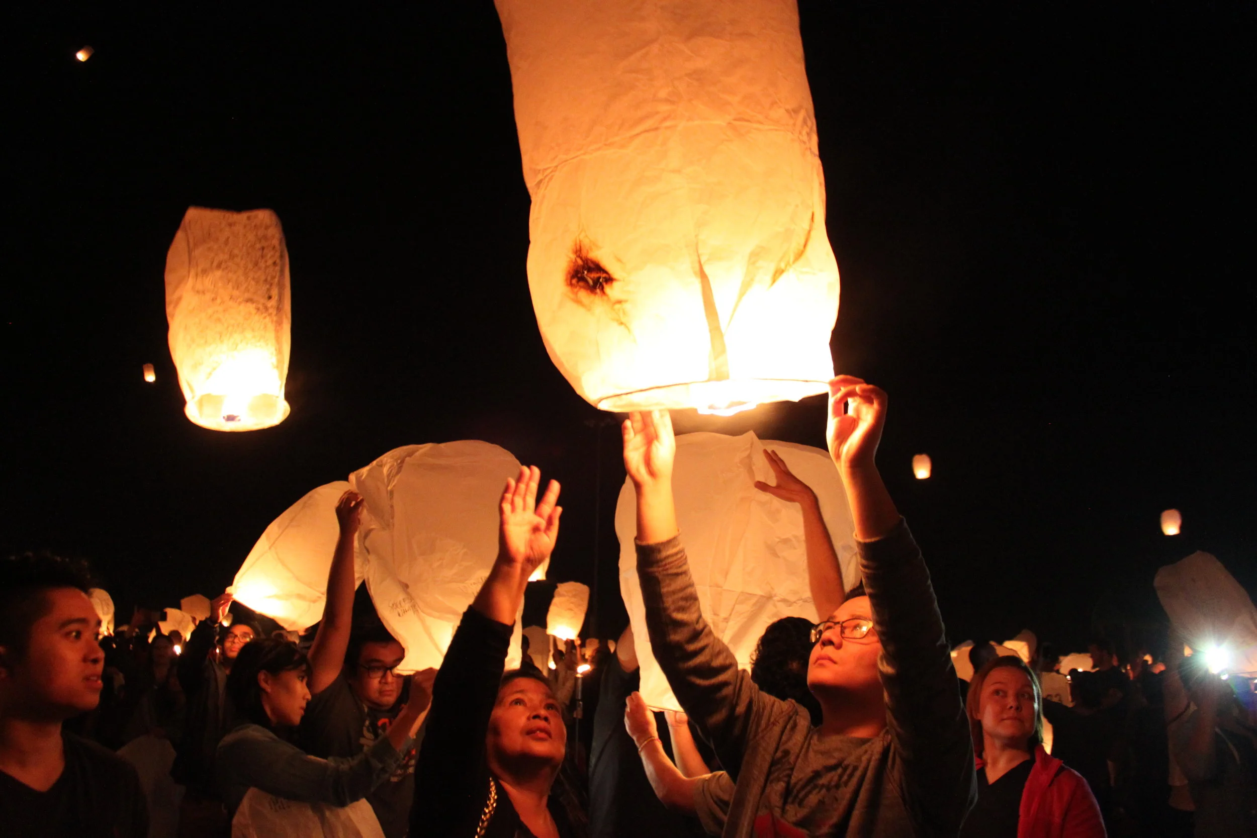 The Lights Festival! - Houston