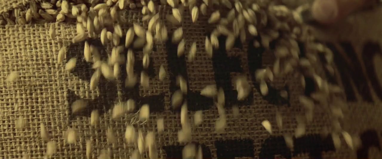 Jameson Taste Campaign - Grain