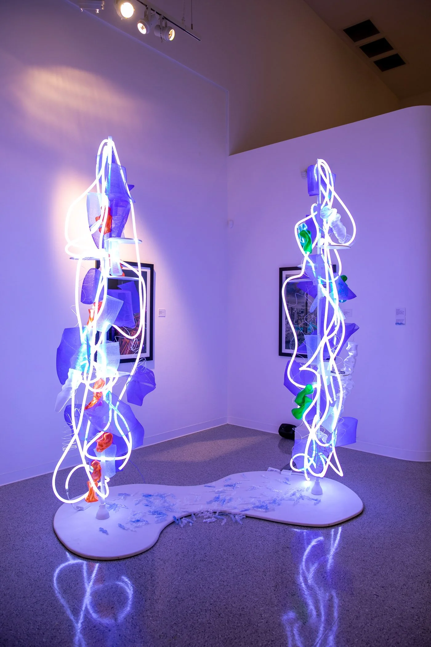 Acquisitions Ezra Hubbard installation piece.jpg