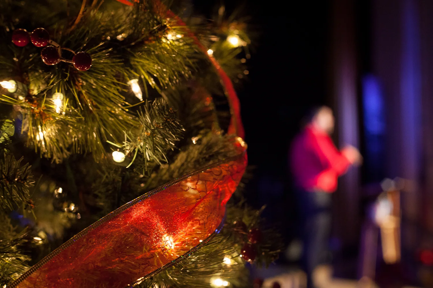 CF Christmas 2013-13.jpg