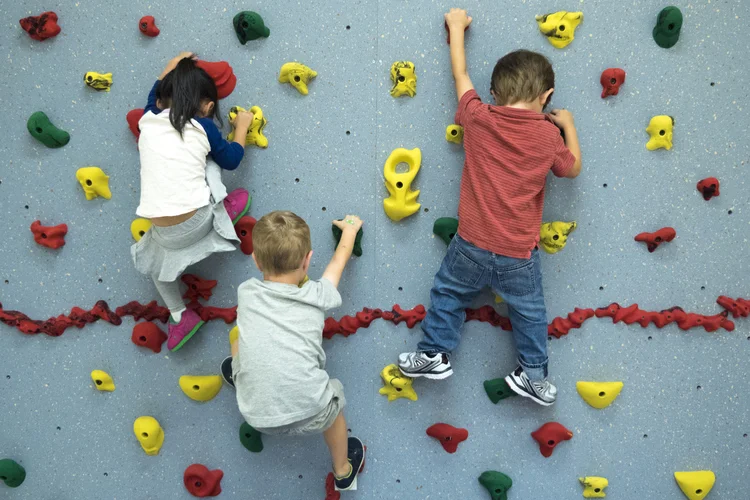 Progress Reports: Monday, November 9th