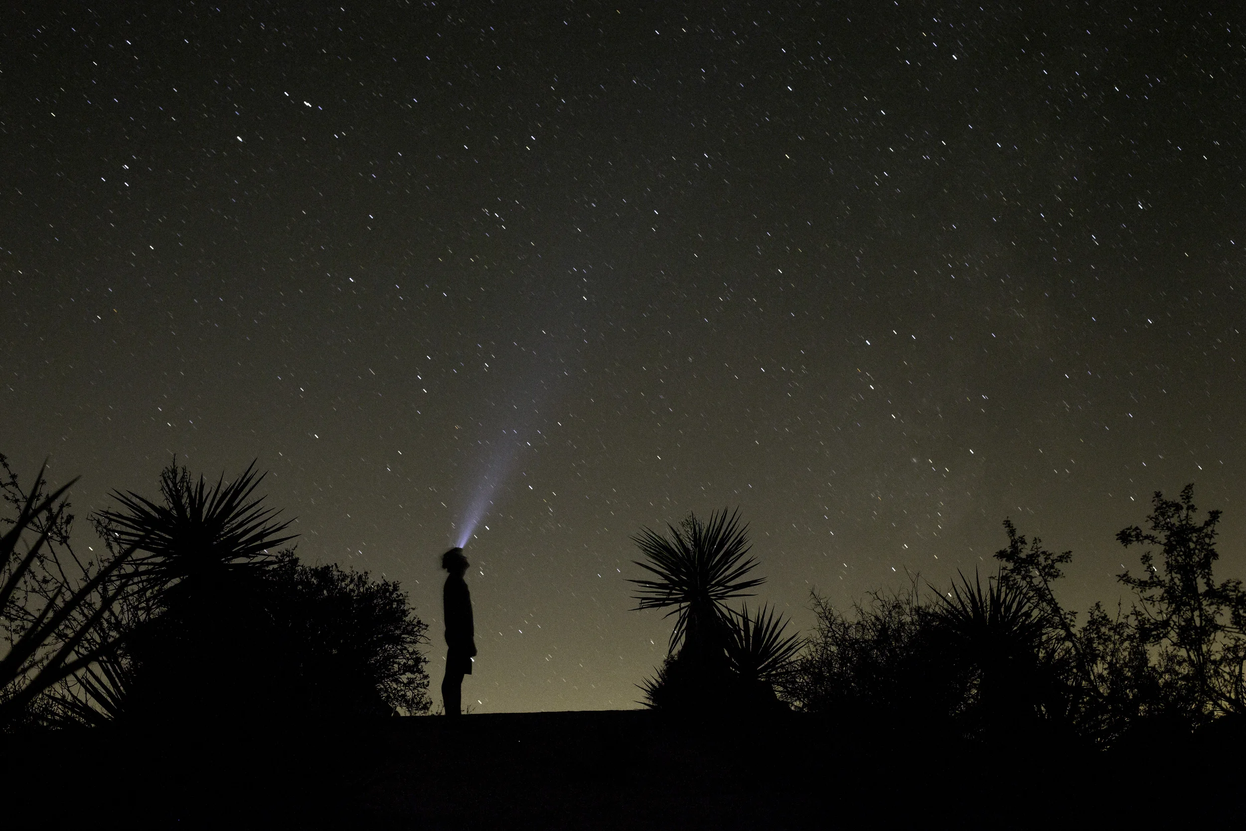 Gazing at stars, southern California!
