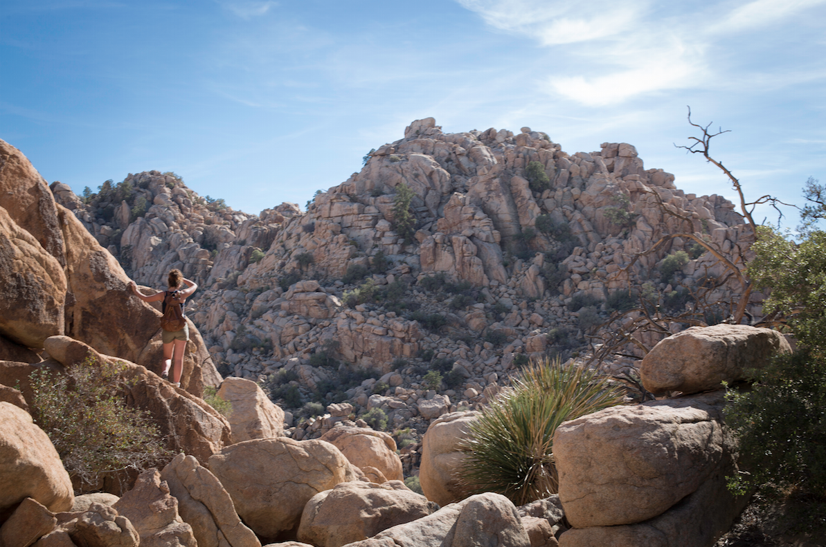 Zoe checking out the view in Joshua Tree, California.
