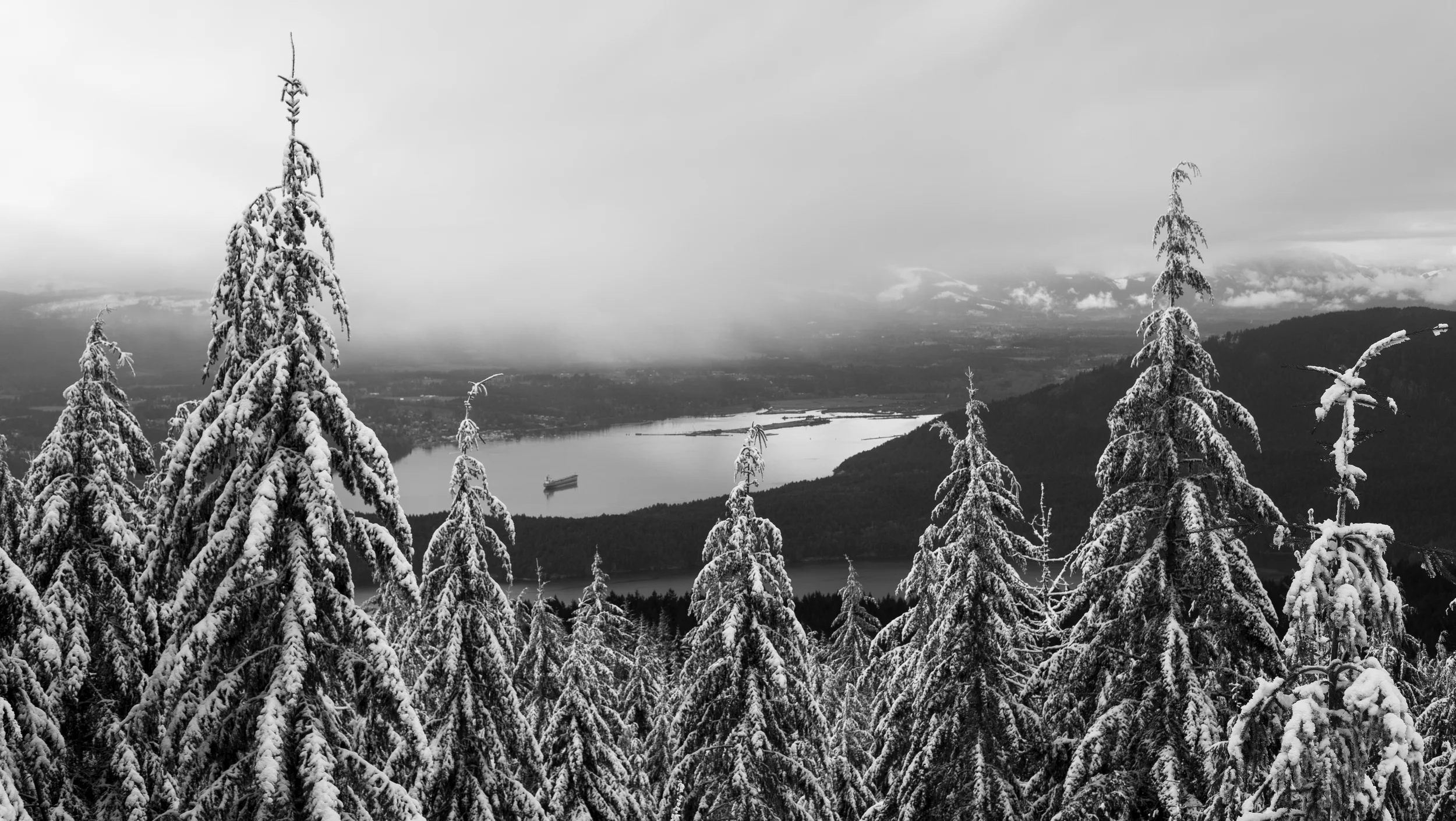 Looking down at Cowichan Bay from a secret spot.