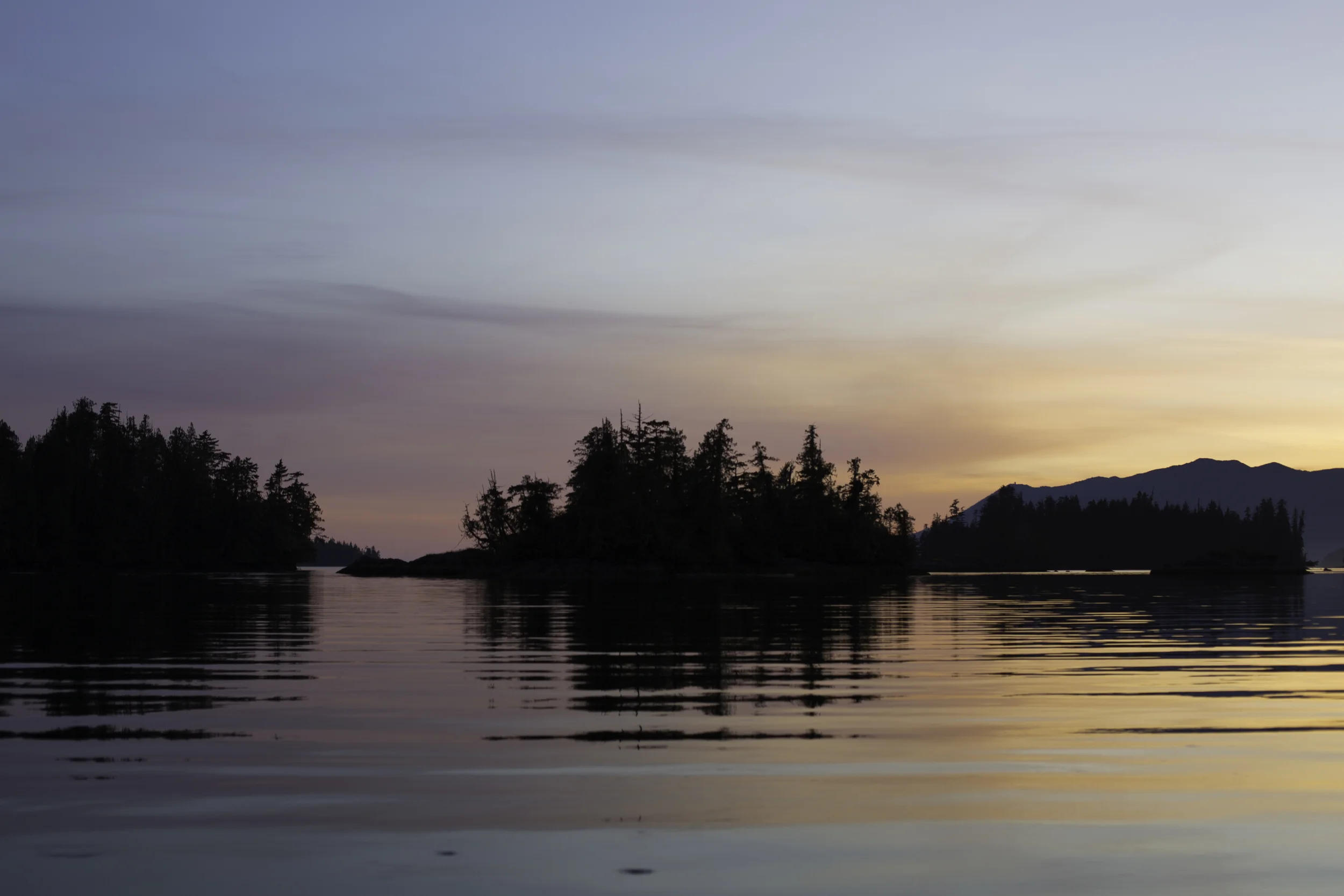 Now part of the Pacific Rim National Park Reserve, the Broken Islands were home to the densest populations north of San Francisco. An estimated number of 8,000-10,000 first nations people lived here pre-contact (In comparison 1,600 people live in Ucluelet, and 150 in Bamfield today).