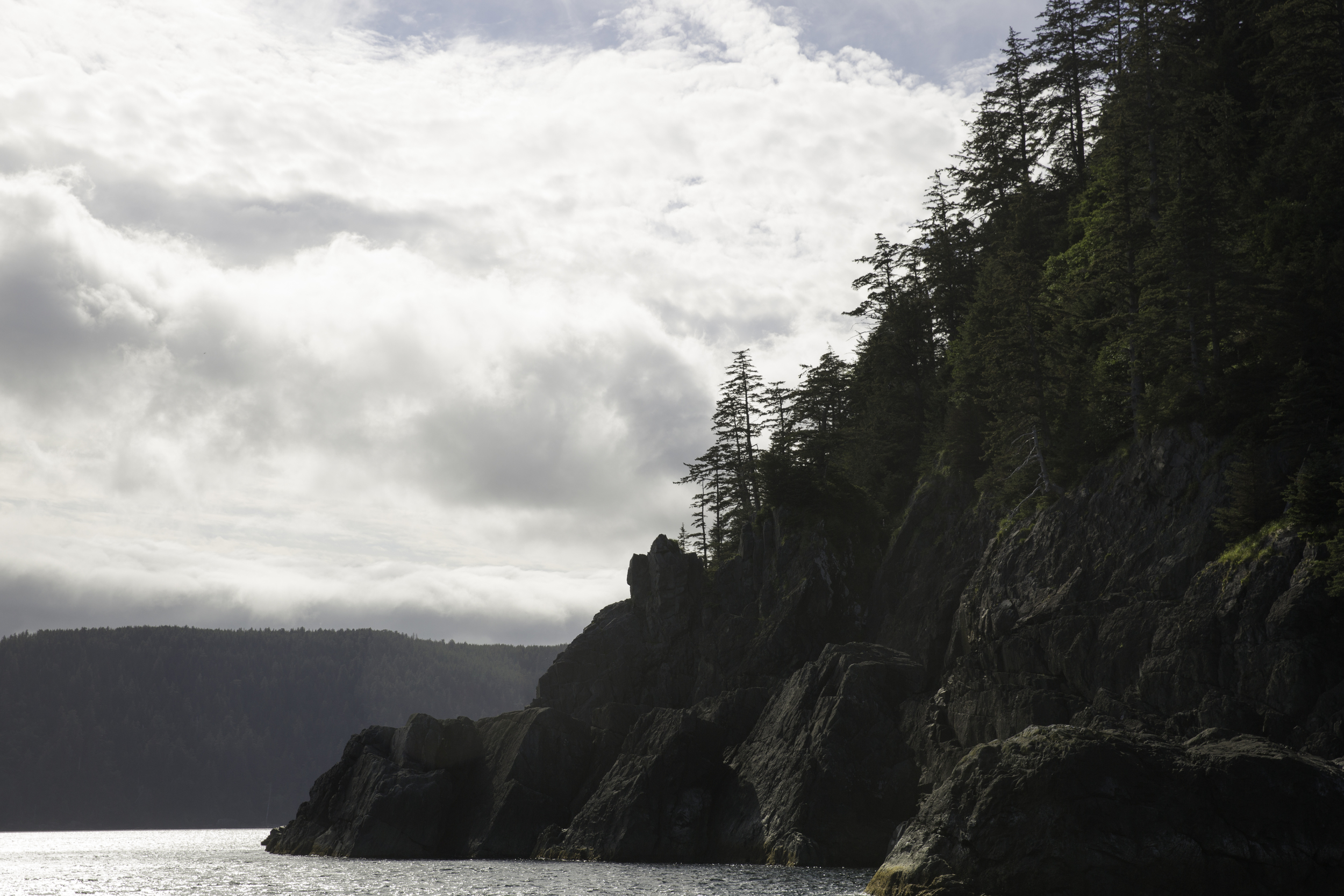 Sharp rock, bold spruce, a preconceived stereotype of Haida Gwaii to be found occasionally.