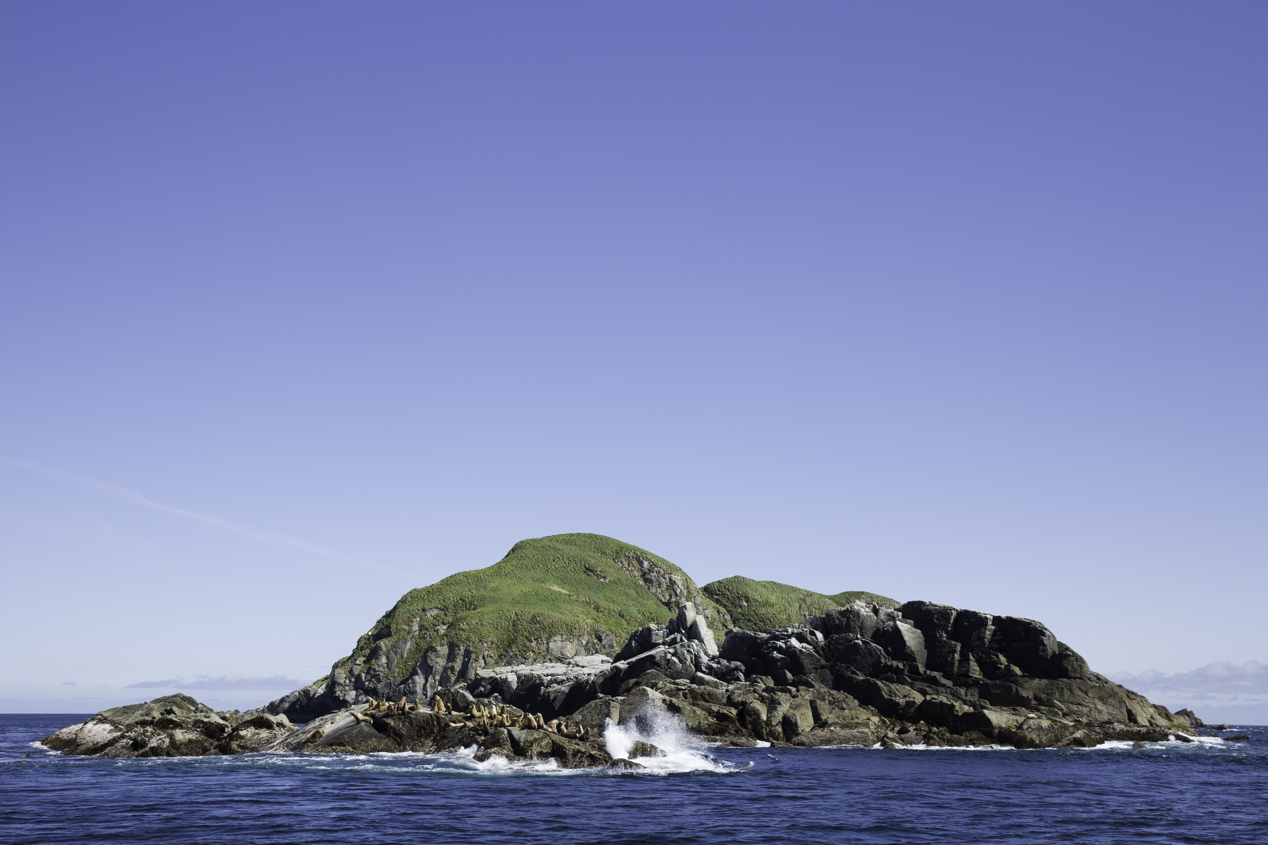 Sea lions bask in the sun as mellow swell crashes into the rocks.