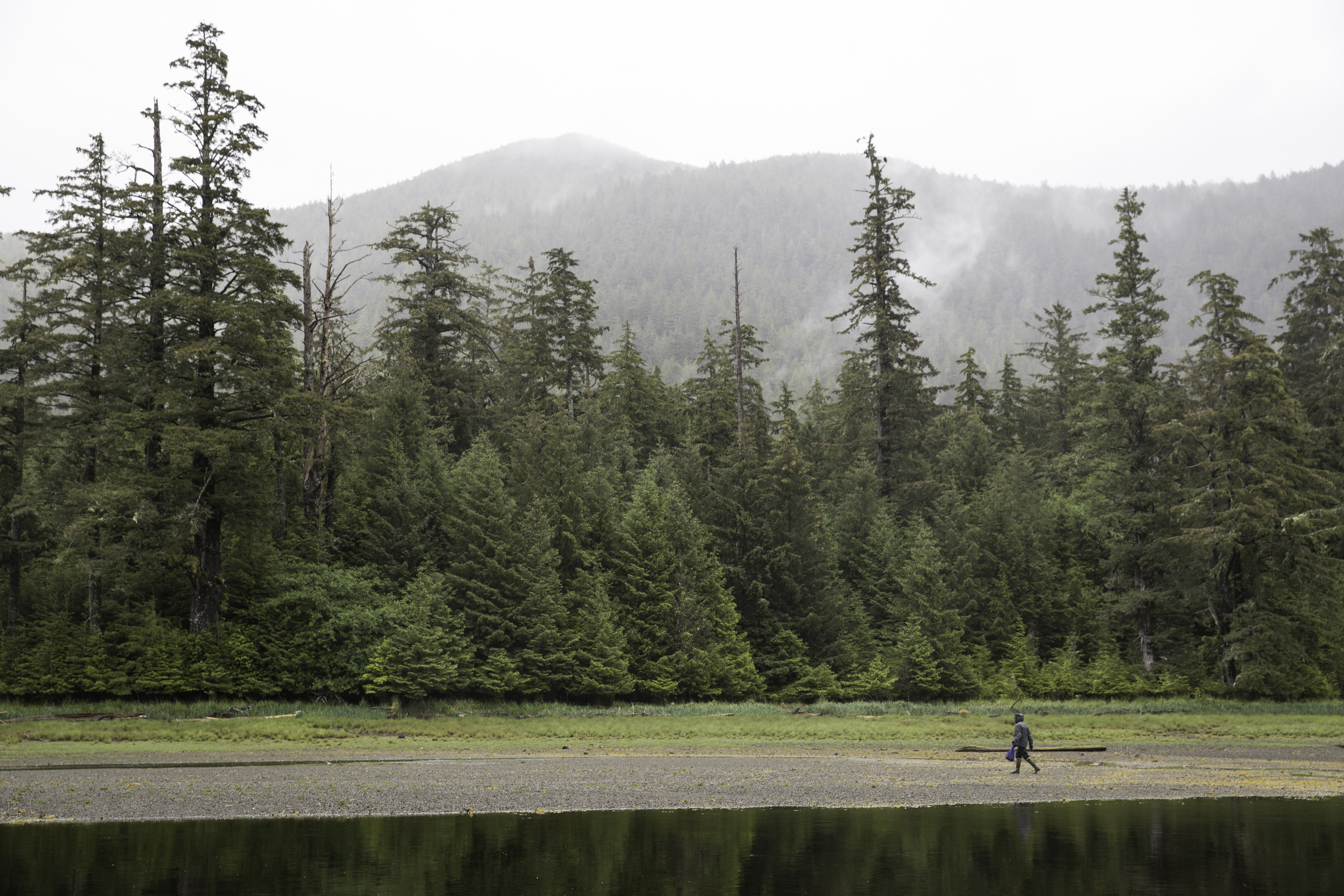 Lascoun Inlet, Haida Gwaii