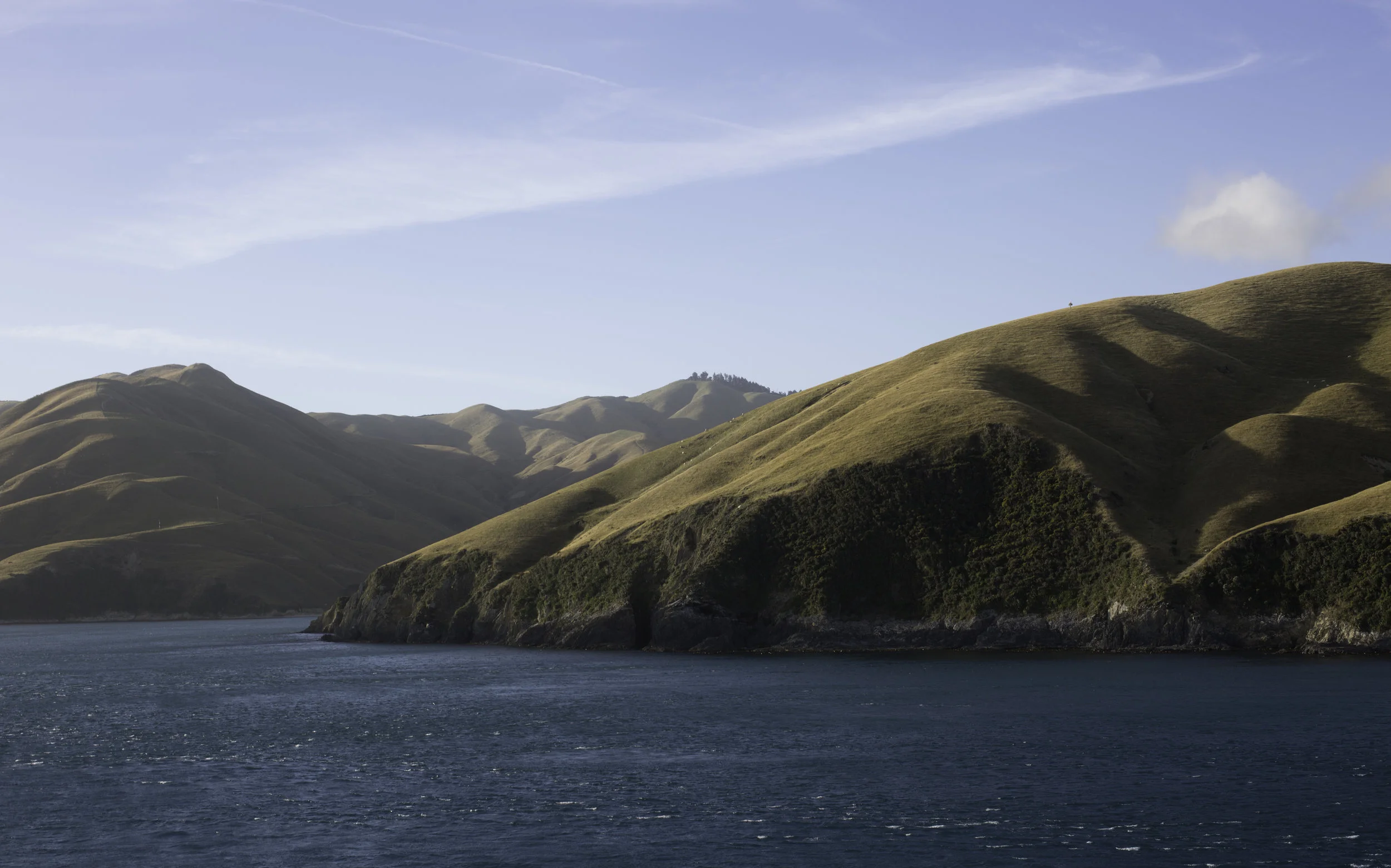 Sheep fields versus indigenous bush in Marlborough Sound coming in on the Interislander ferry.