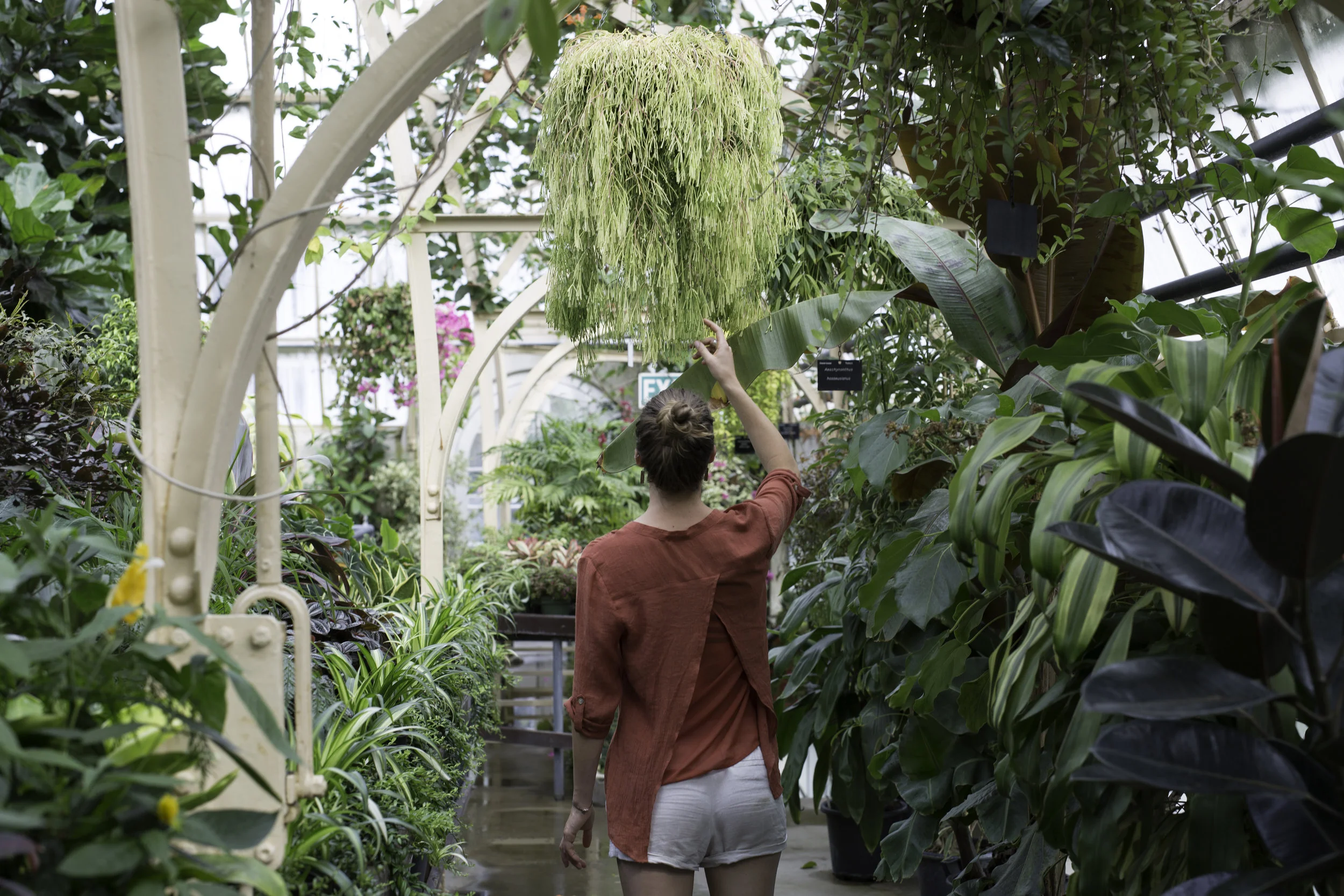 The botanical gardens in Christchurch were any greenhouse loving kids dream come true.