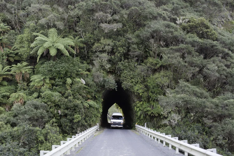 New Zealand &amp; an Unexpected Journey Home 