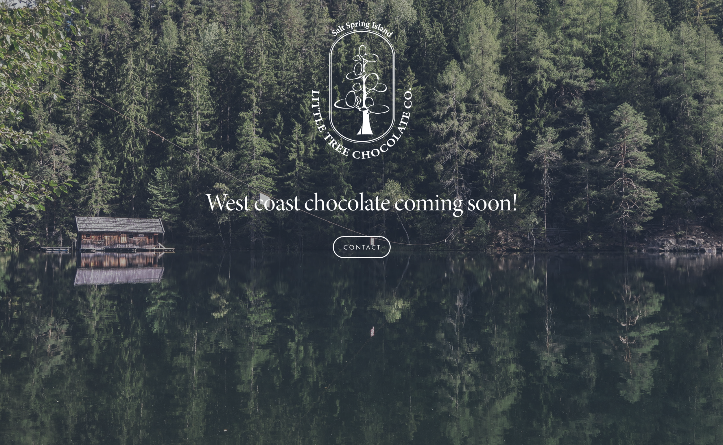 Screen Shot 2019-04-02 at 3.51.31 PM.png