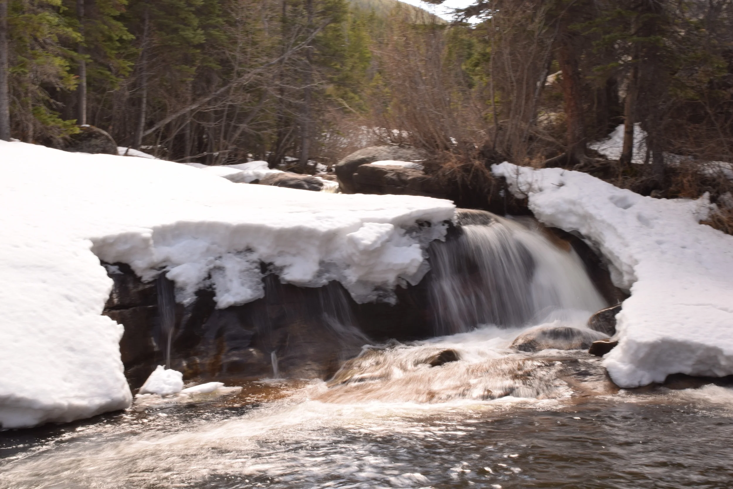 DSC_1023.jpg