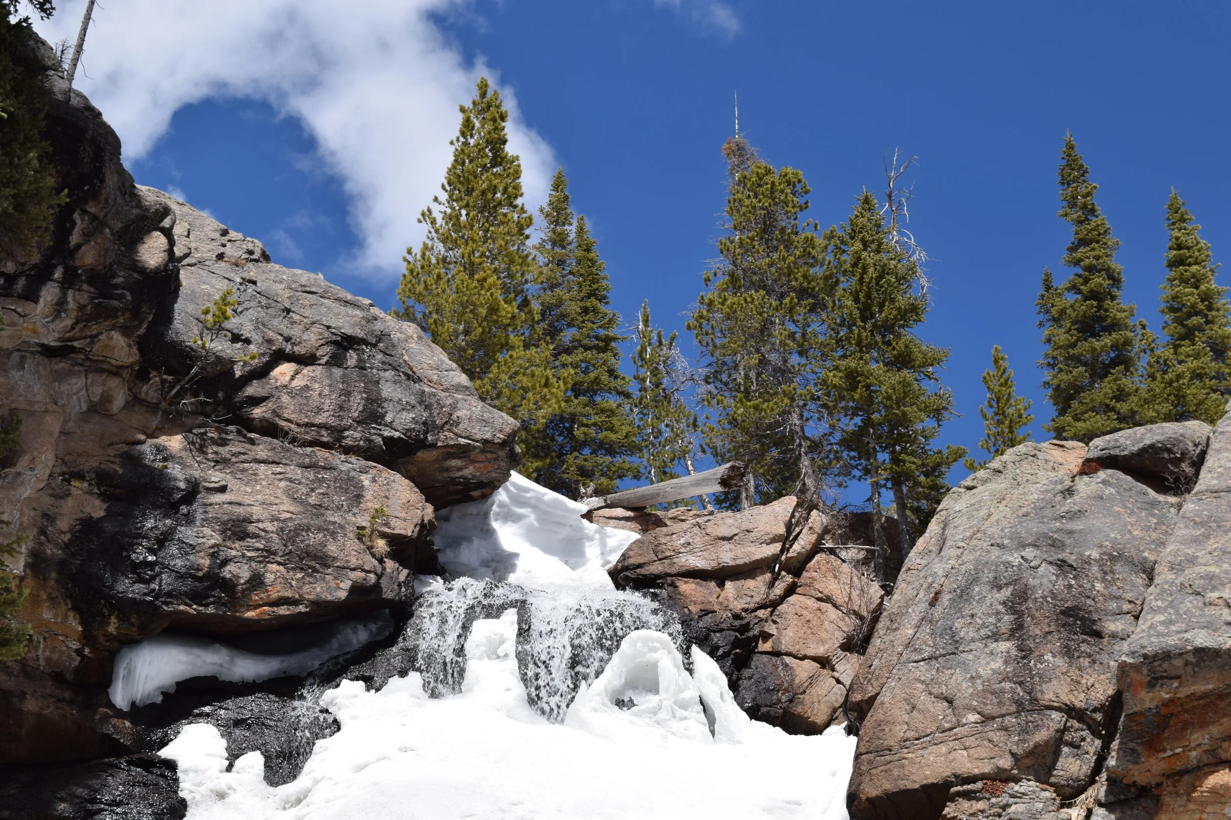 DSC_0912.jpg