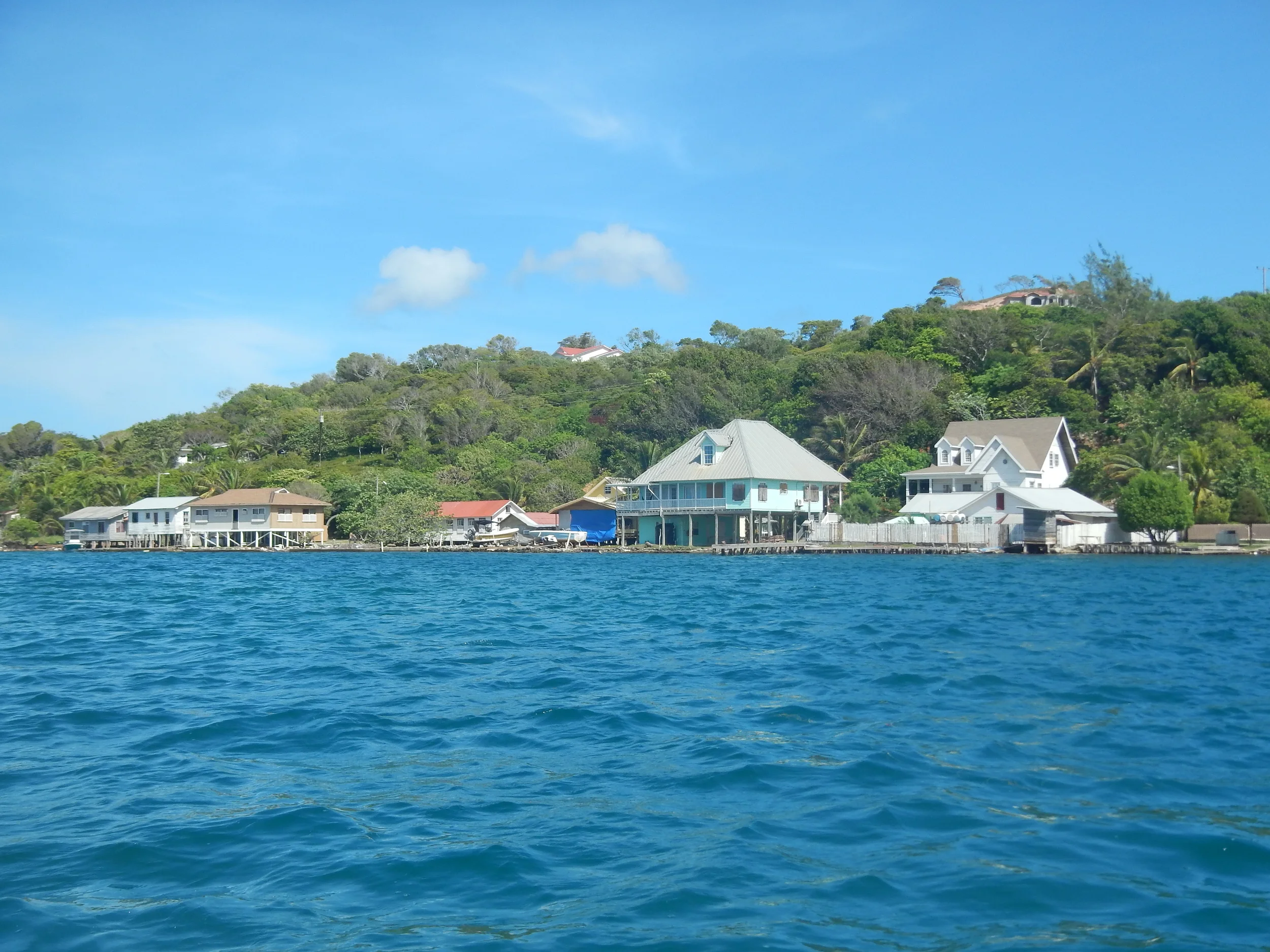 Pitts Lagoon 2014 035.jpg