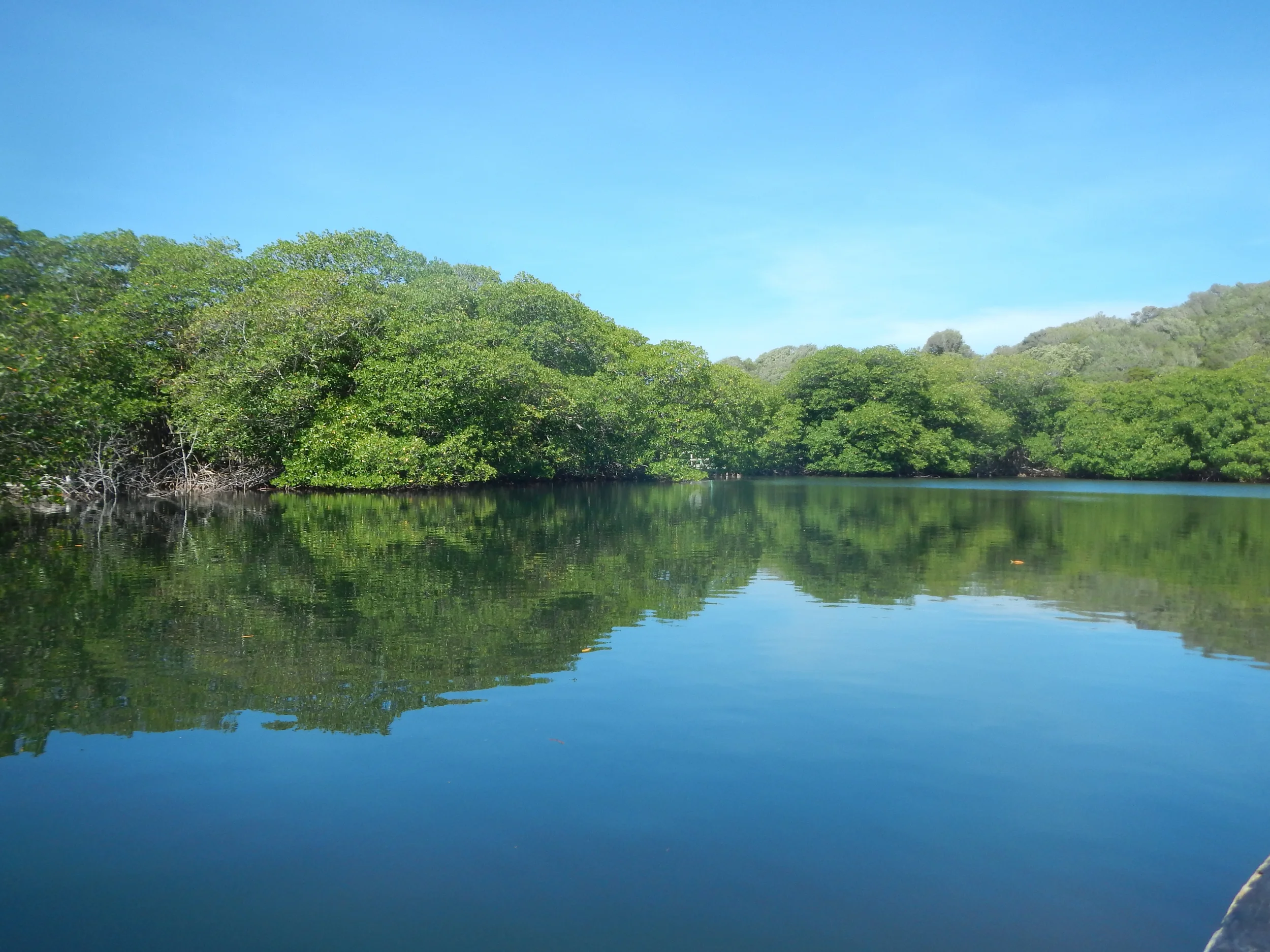 Pitts Lagoon 2014 039.jpg