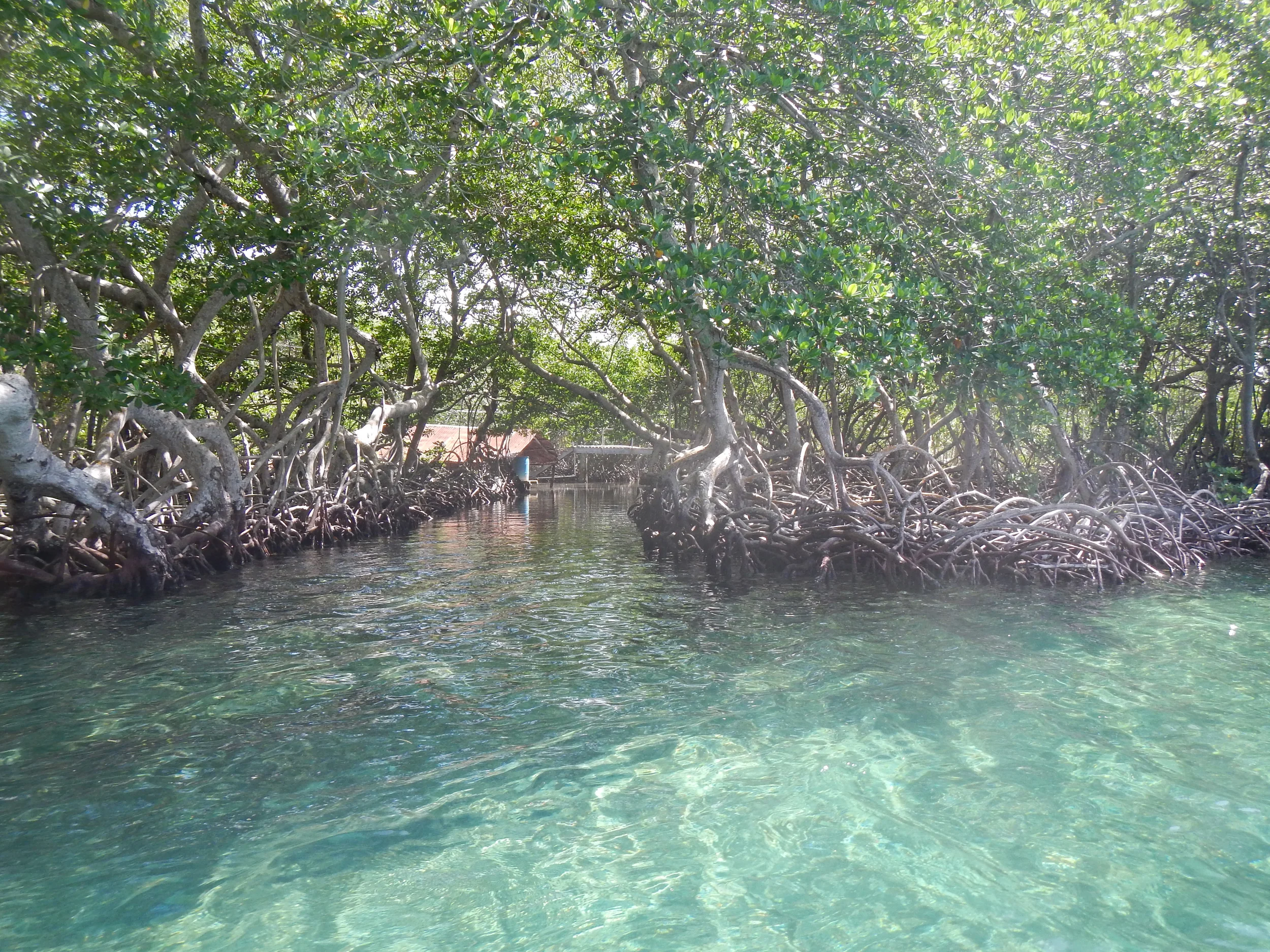 Pitts Lagoon 2014 043.jpg