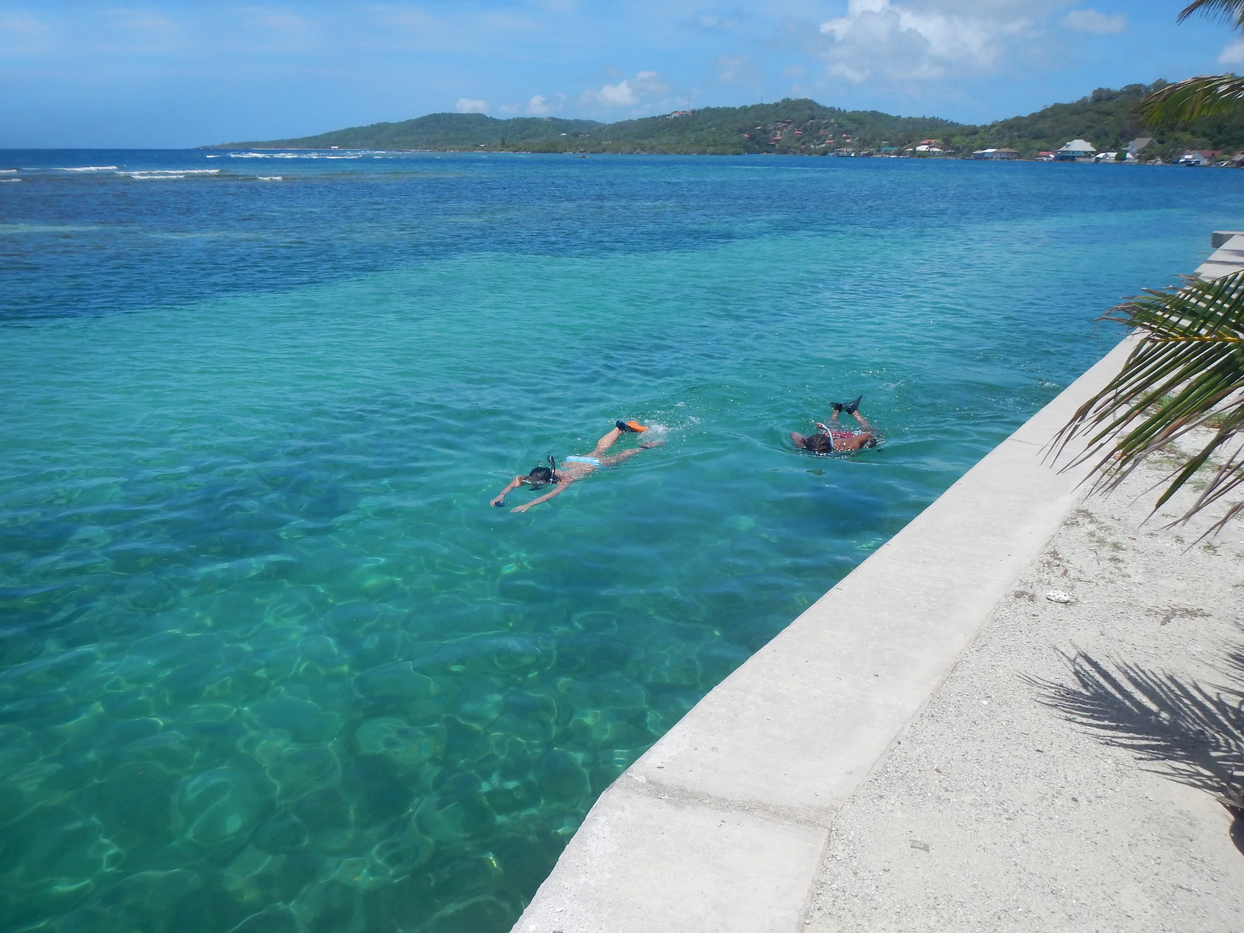 Pitts Lagoon 2014 056.jpg