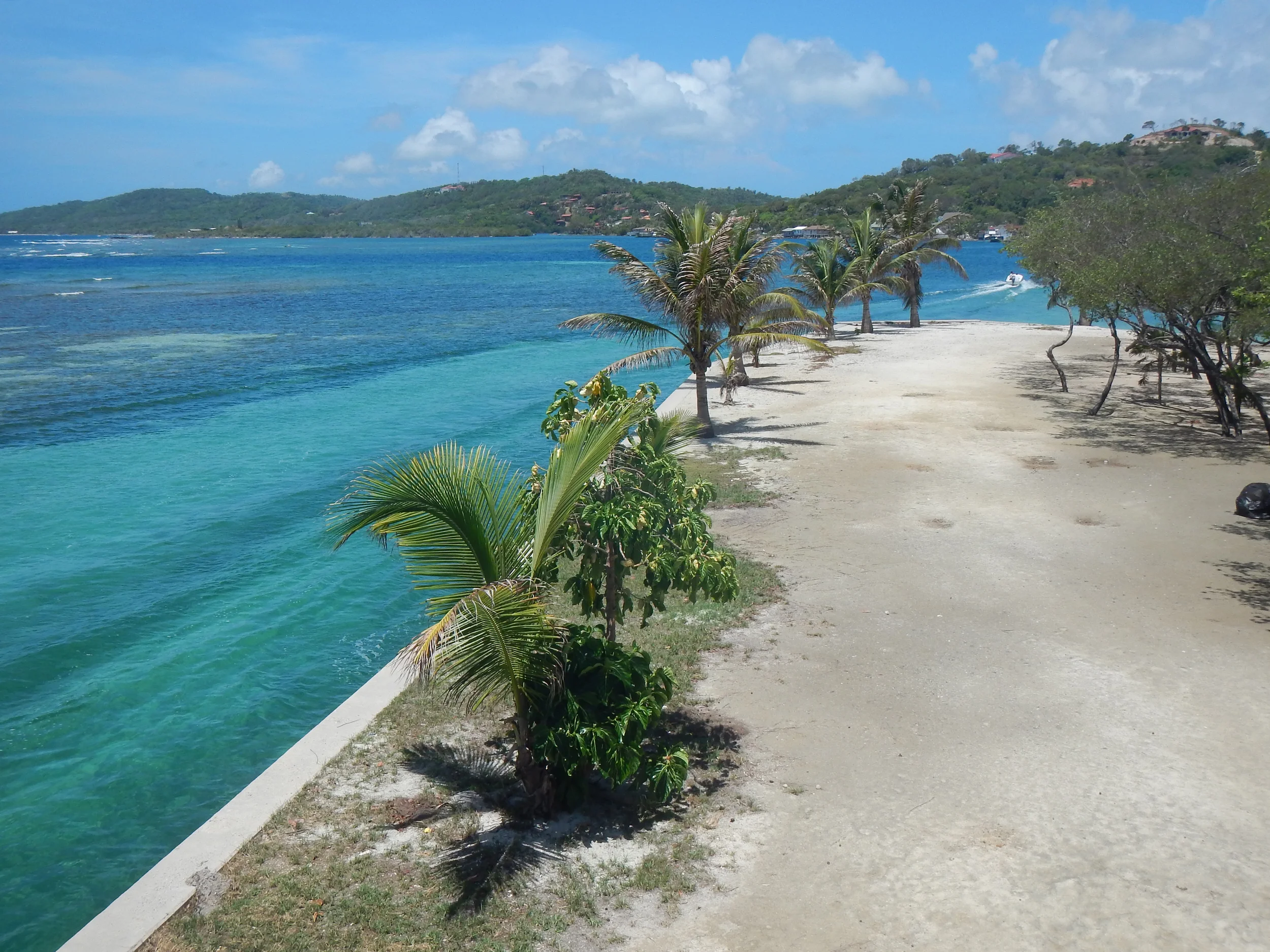 Pitts Lagoon 2014 062.jpg