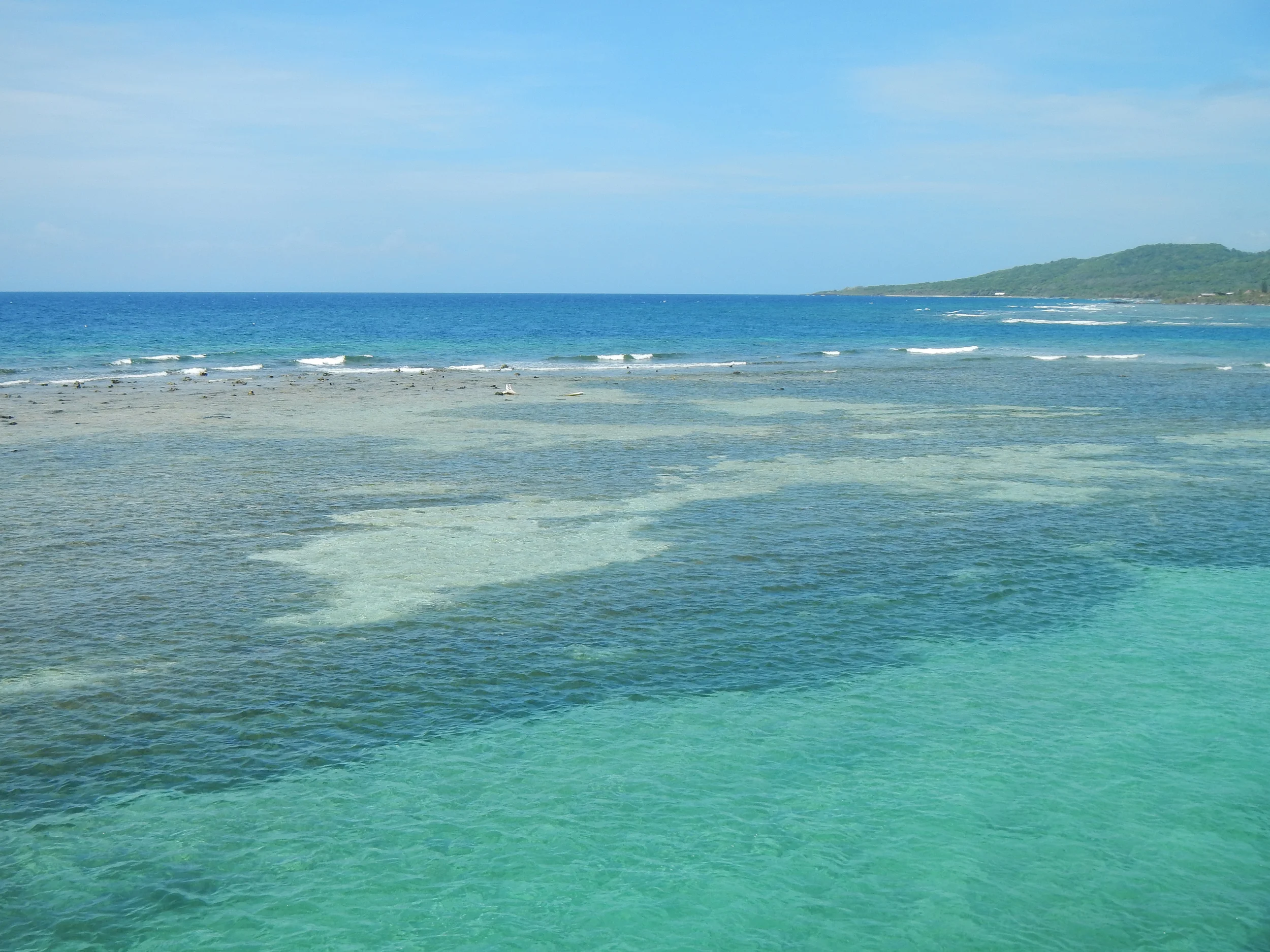 Pitts Lagoon 2014 063.jpg