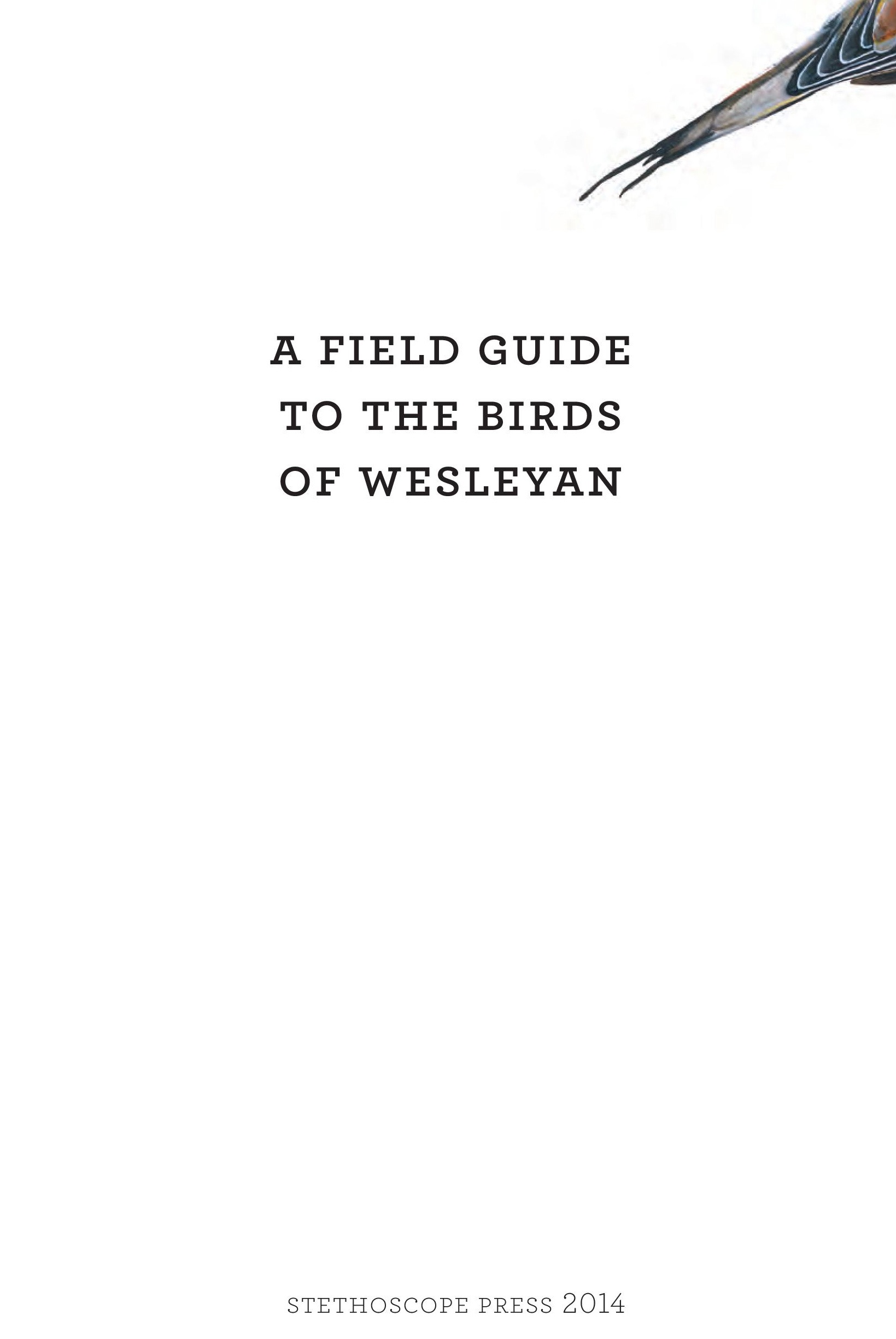 James_FieldGuide_Text screen lores (3)-page-001.jpg