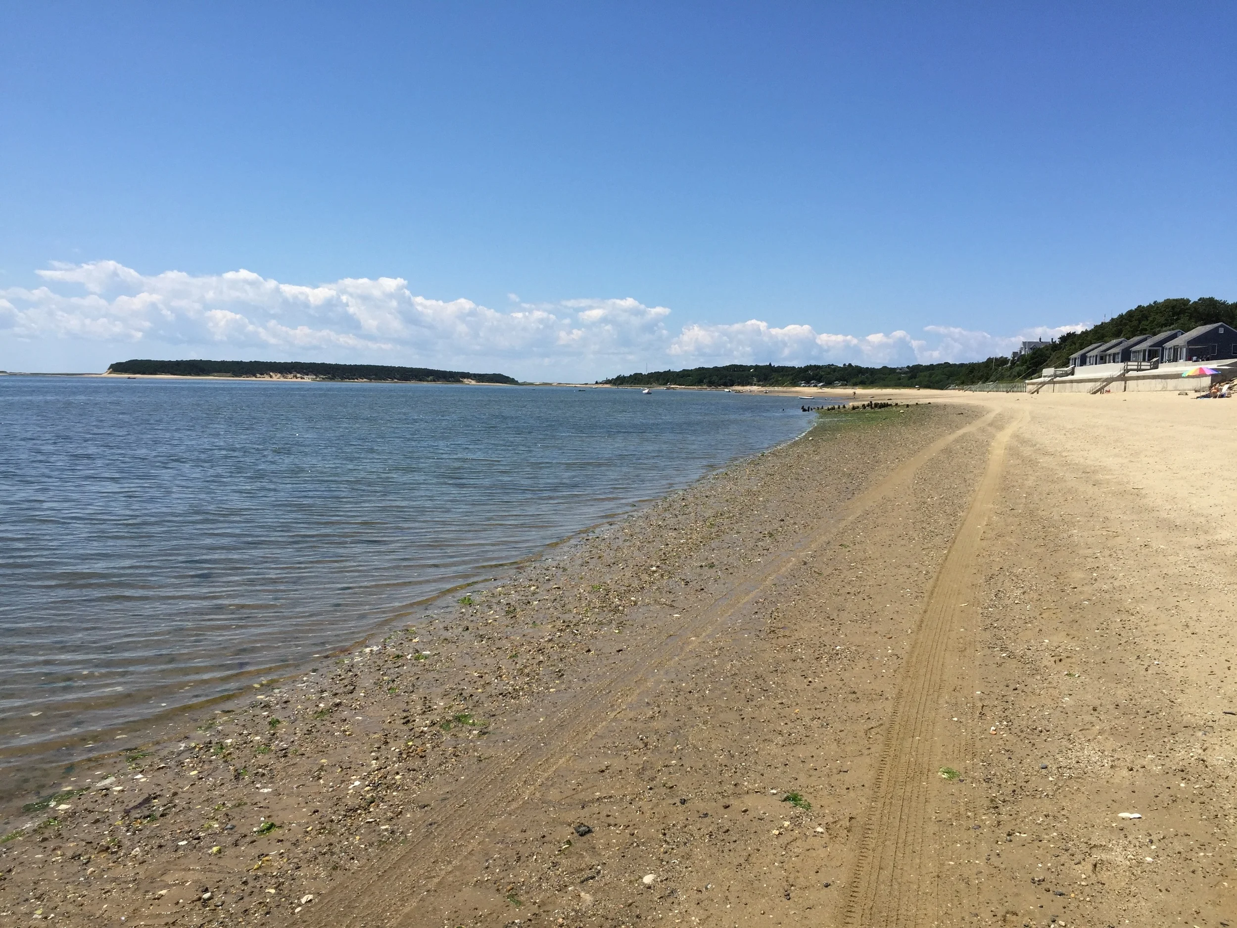 Beach Run