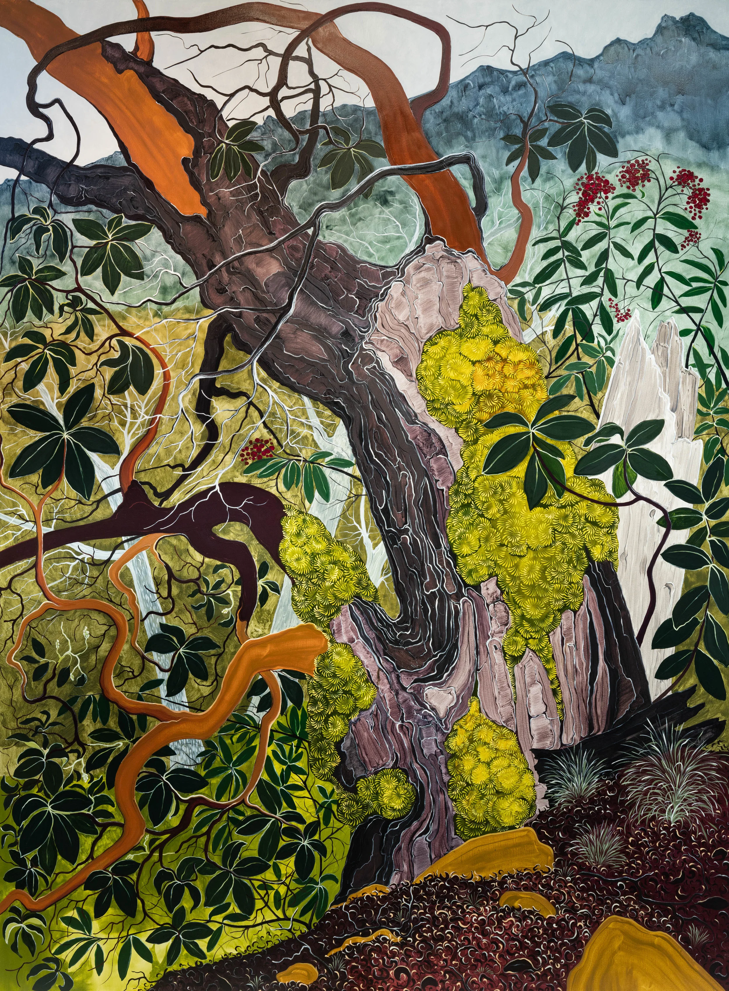 Surviving Madrone