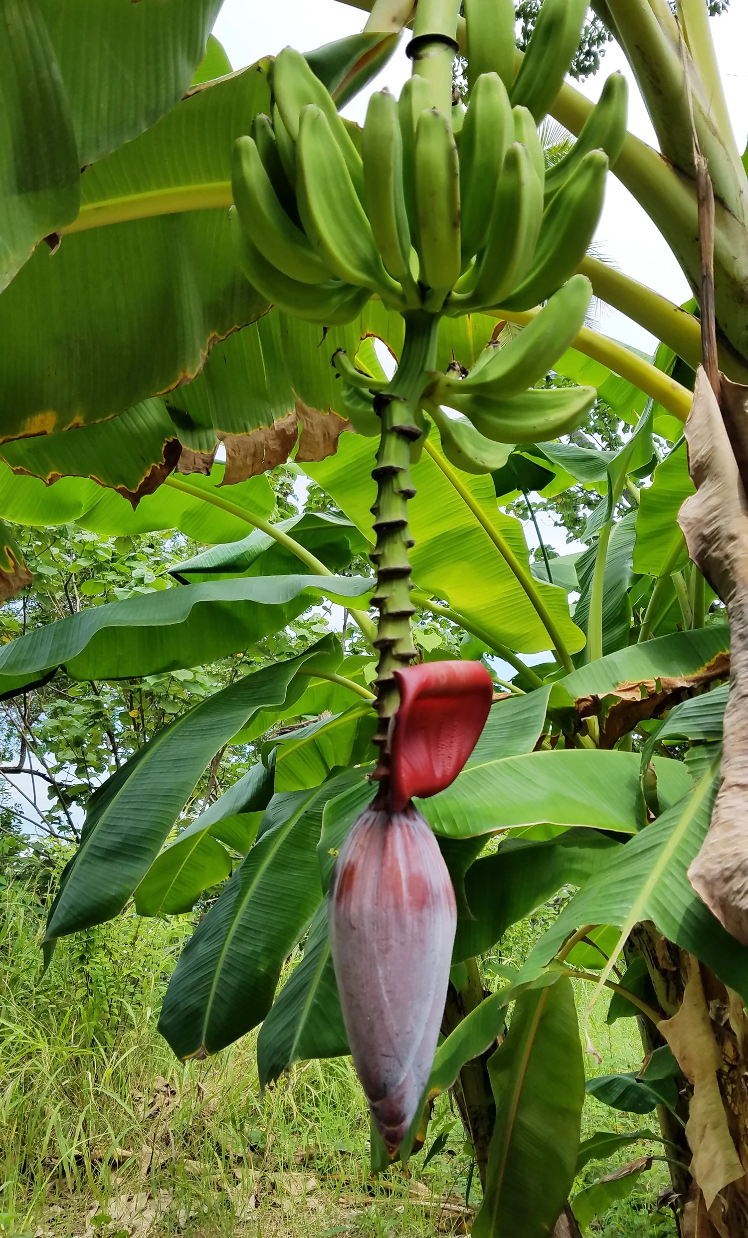 20180907_094359.jpg