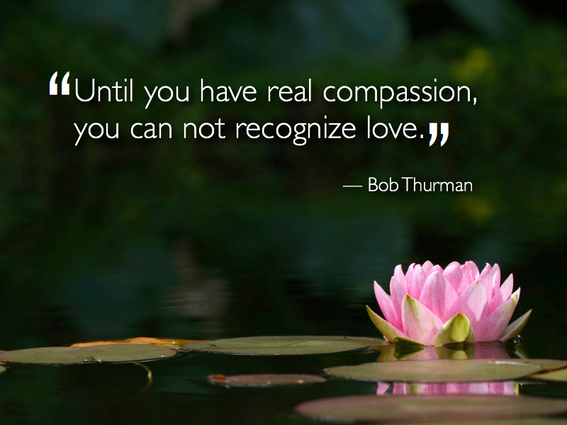 compassion.2.jpg