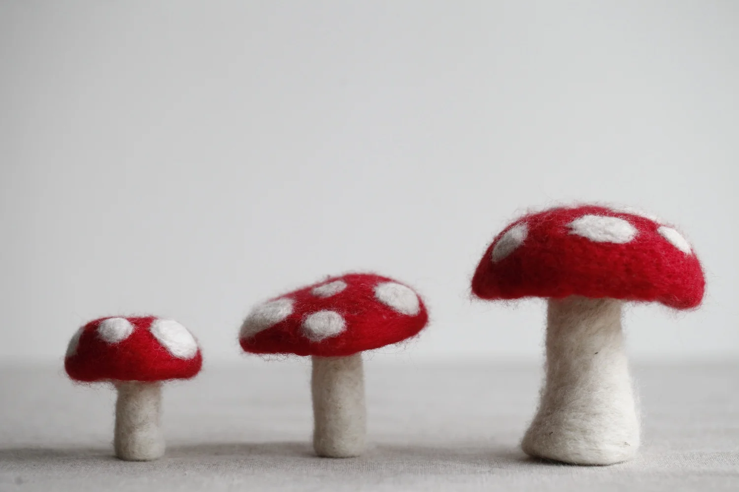 Toadstool needle felting kit