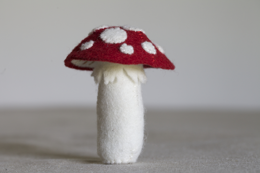 toadstool.jpg