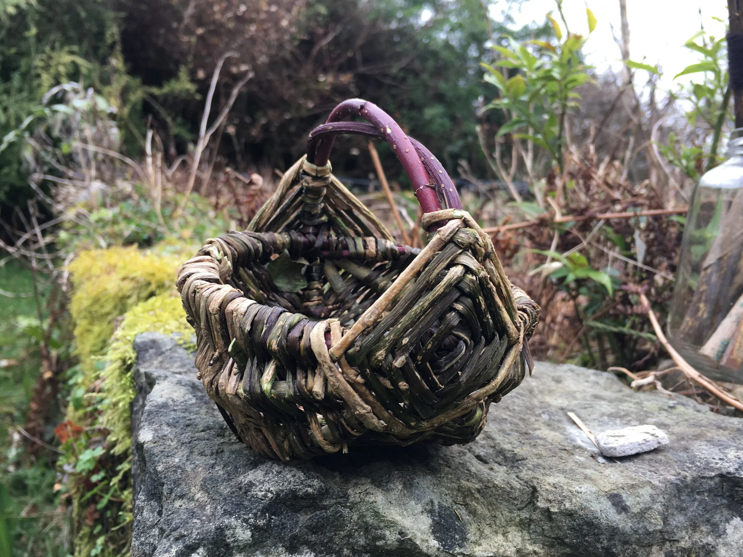 Hedgerow weaving
