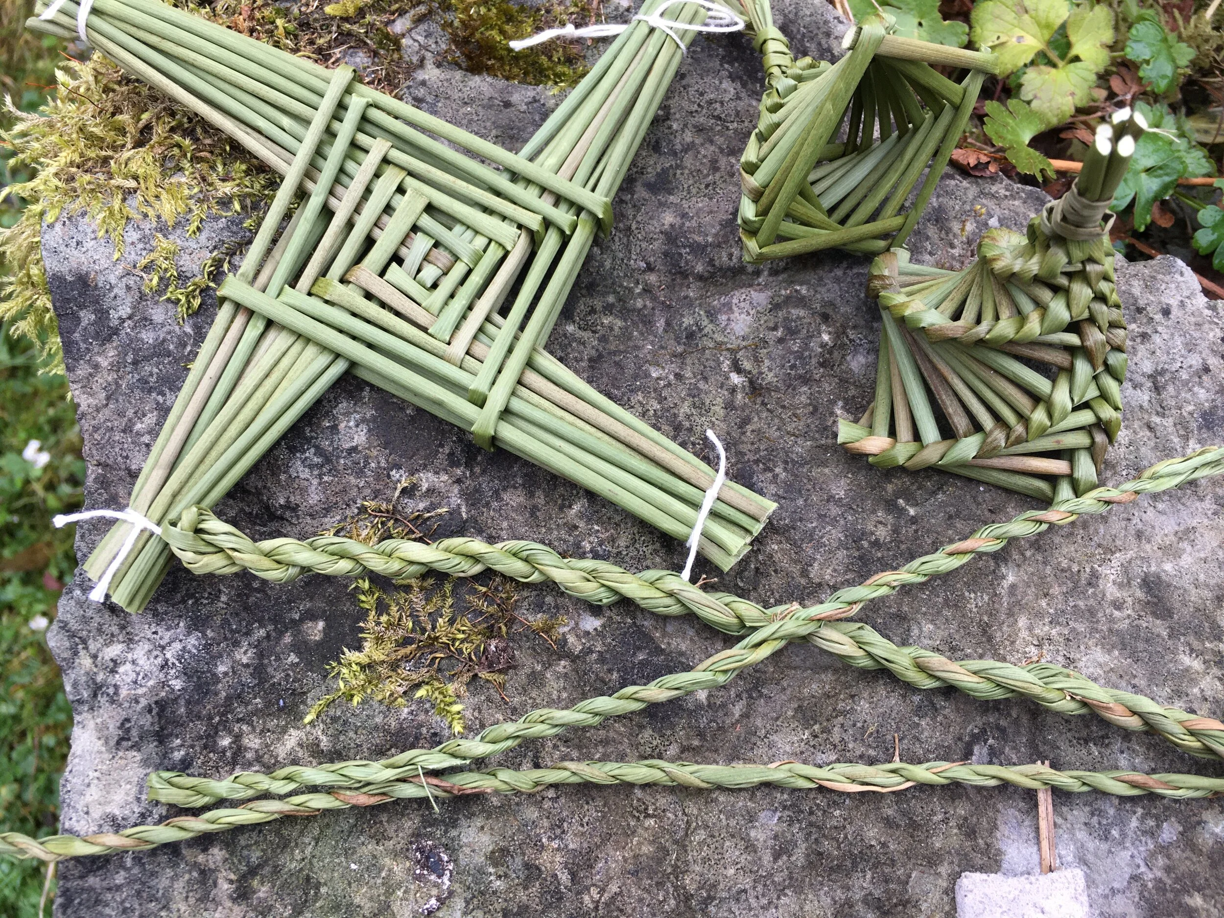 Field rushes in weaving