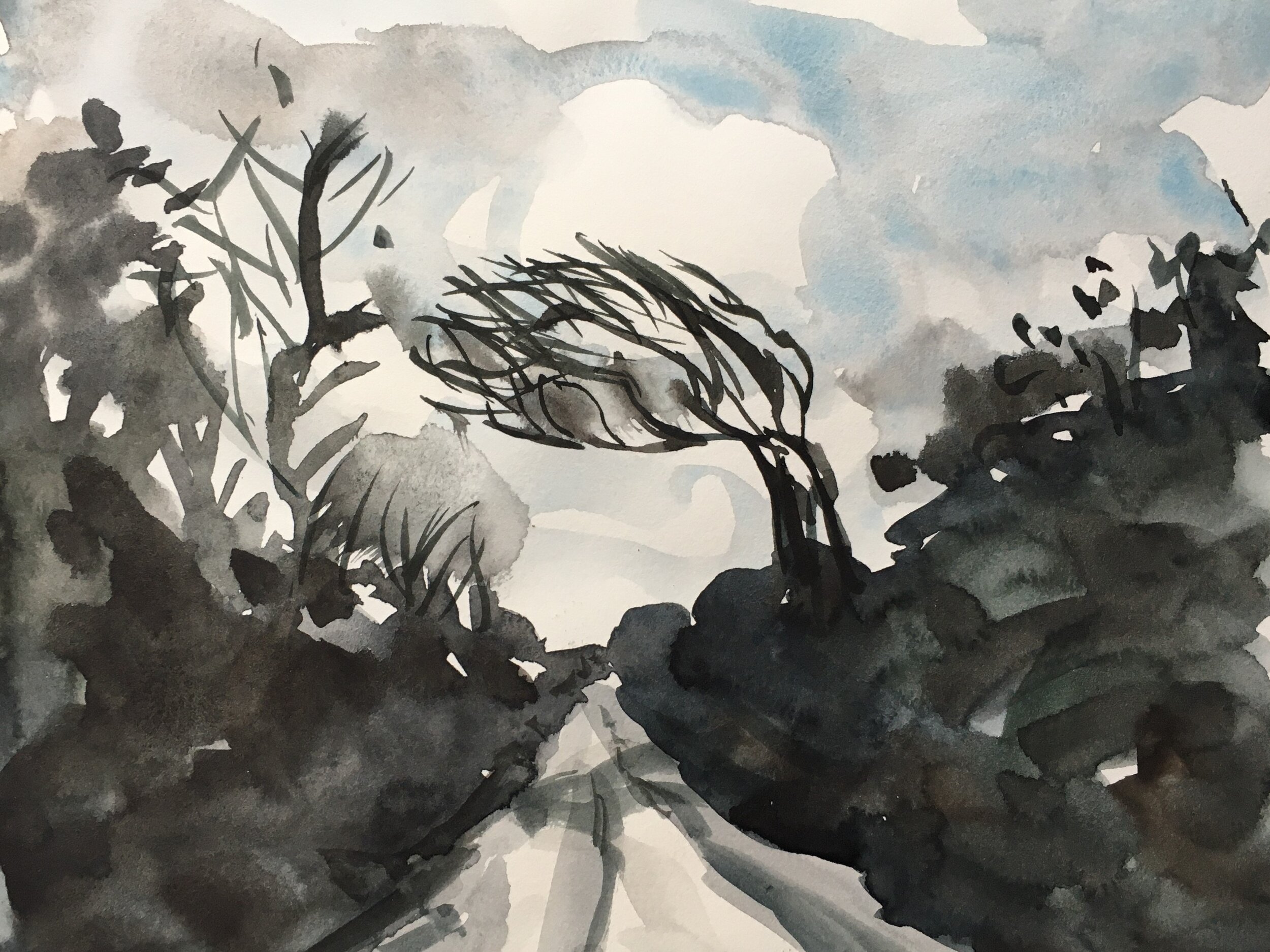 light and shadow.JPG