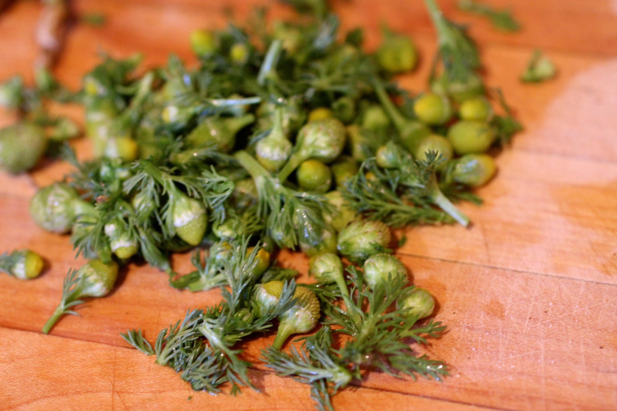 Use scissors to easily cut off pineapple weed flowers and leaves.