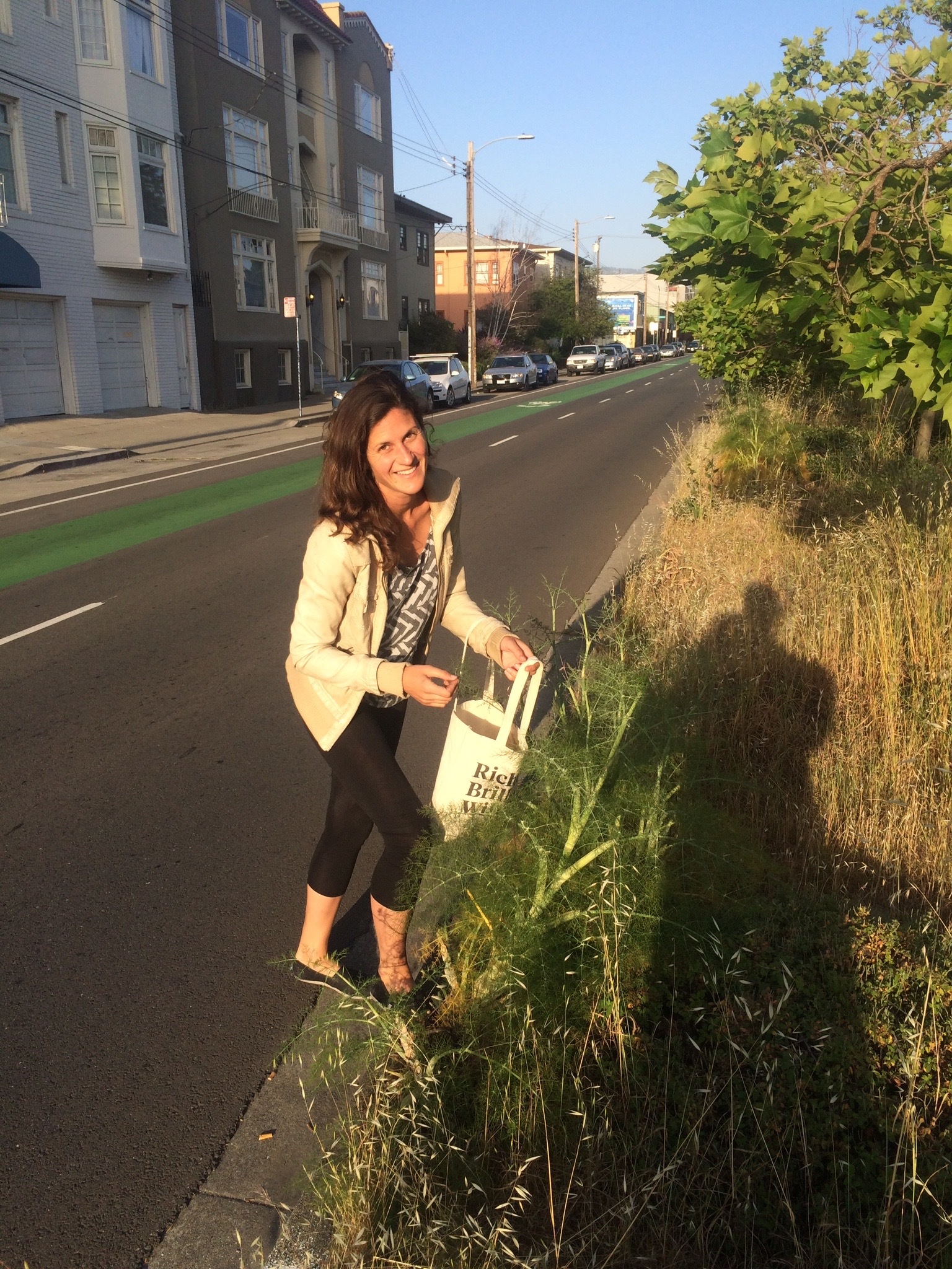 Foraging wild fennel in a North Oakland median.