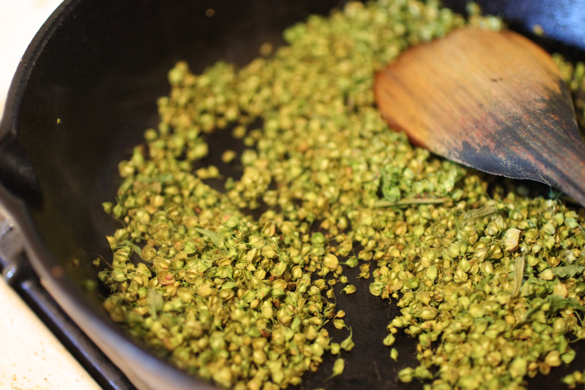 Toasting dock seeds in a cast iron pan.