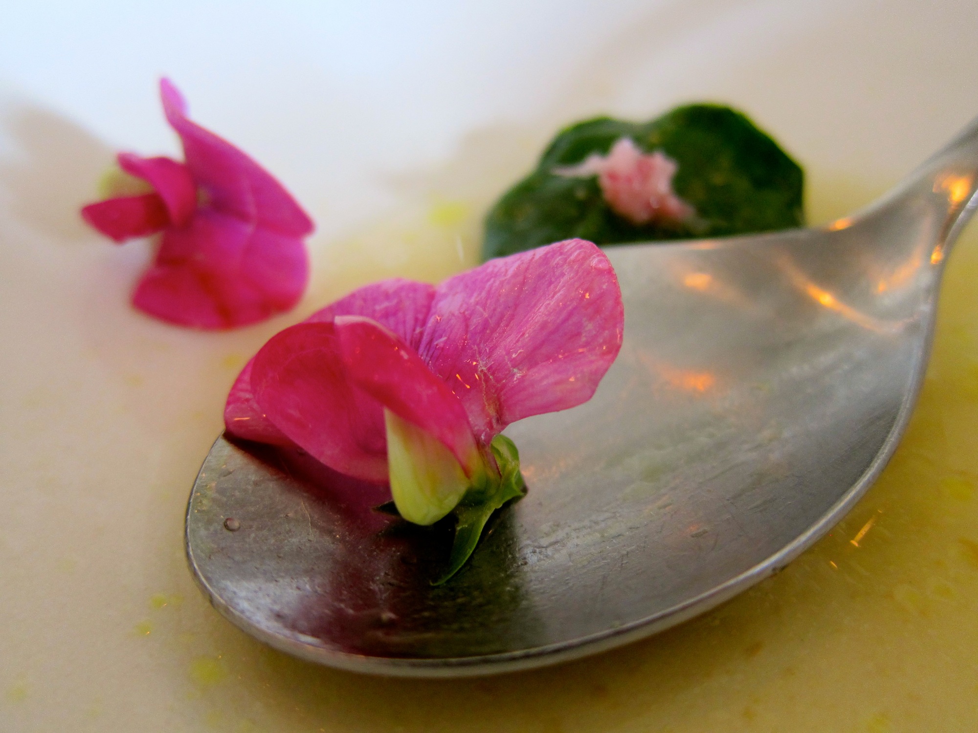 Sweet pea flowers in foreground, baby nasturtium leaves in background wrapping shrimp (wish I got a better photo of the nasturtium!), rhubarb broth.